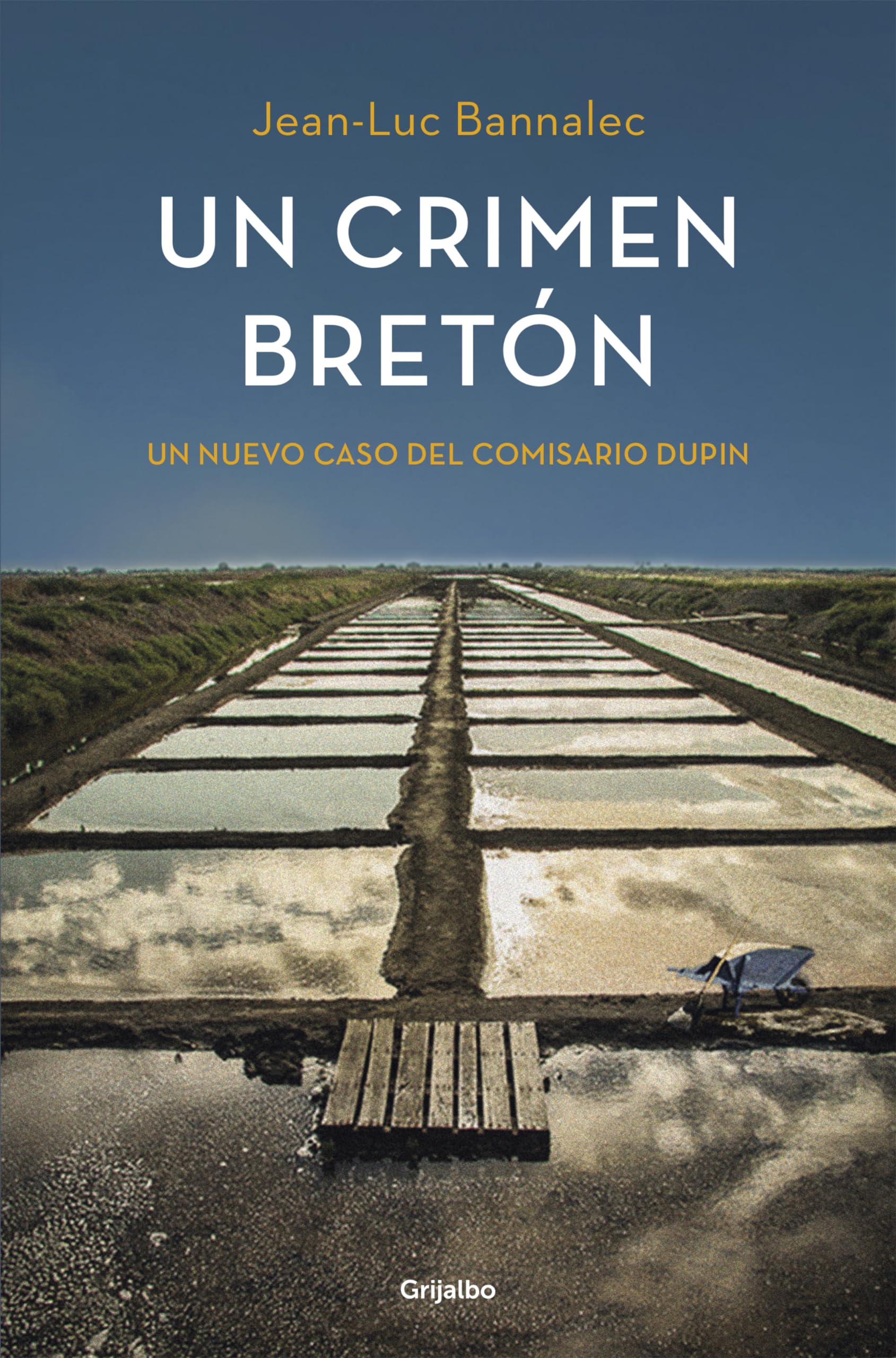 Un crimen bretón (Comisario Dupin 3) book
