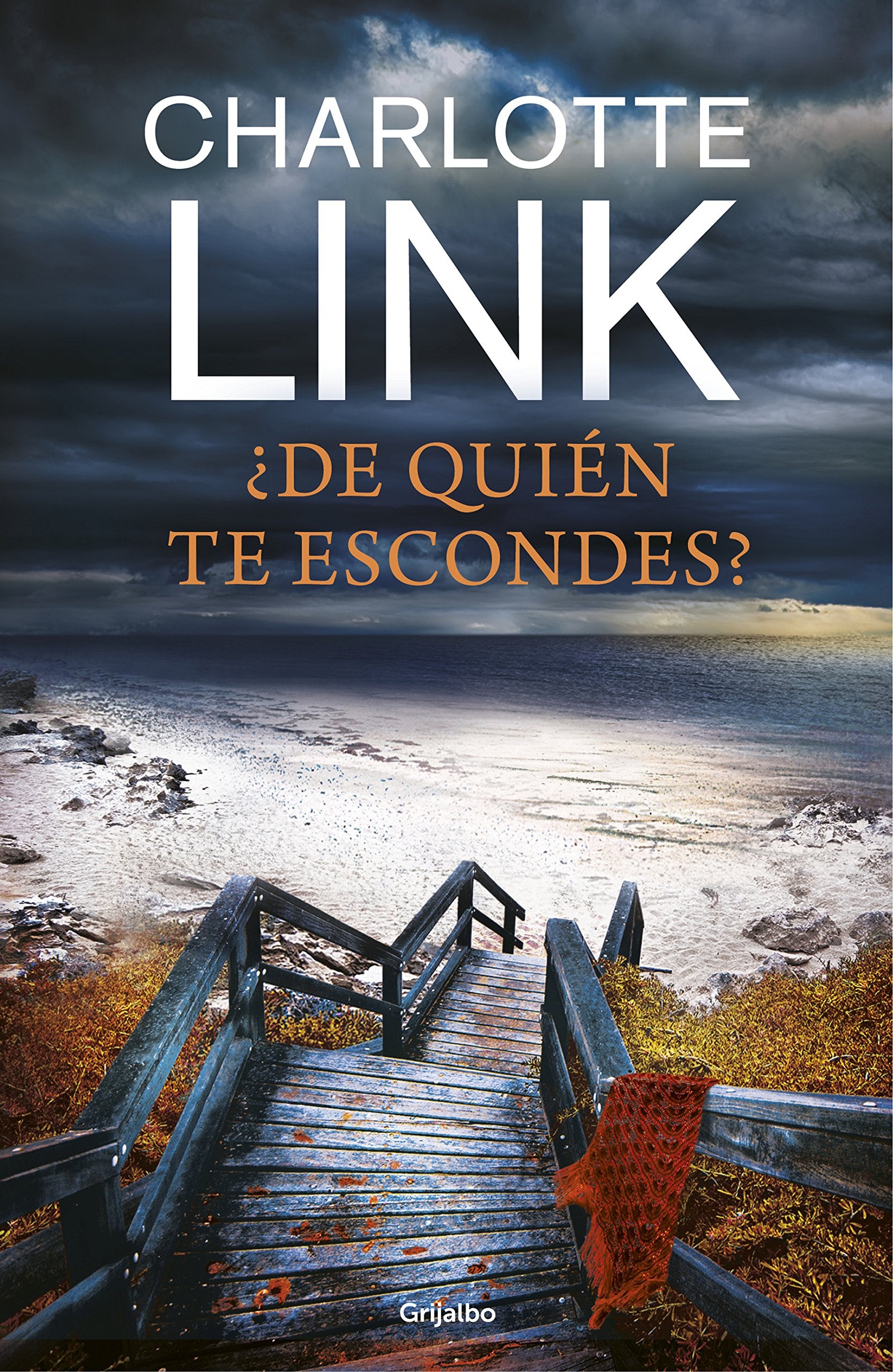 ¿De quién te escondes? (Novela de intriga) Contemporary literature