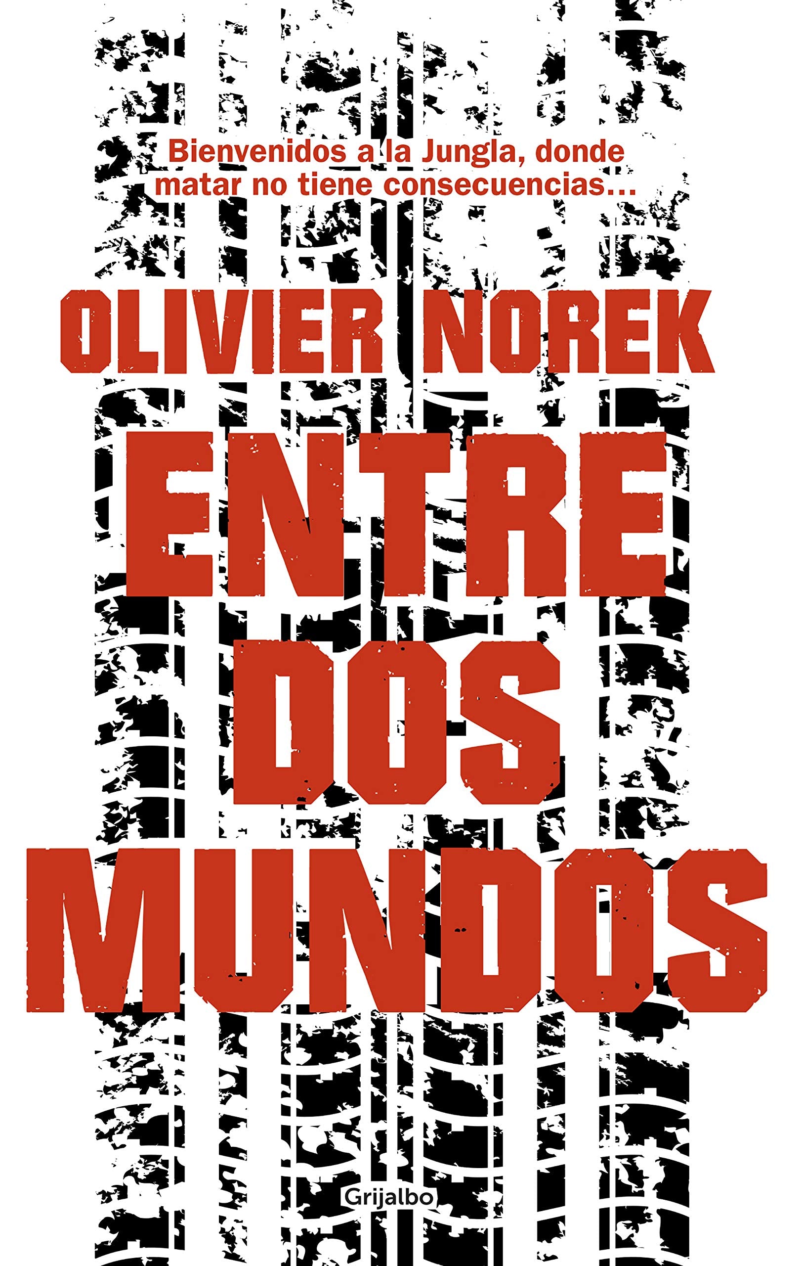 ENTRE DOS MUNDOS Contemporary literature
