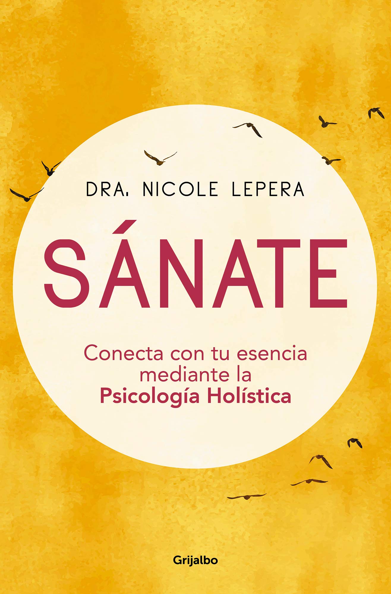 Sánate / How to do the work: Conecta con tu esencia mediante la Psicologia Holistica / Recognize Your Patterns, Heal from Your Past, and Create Your Self book