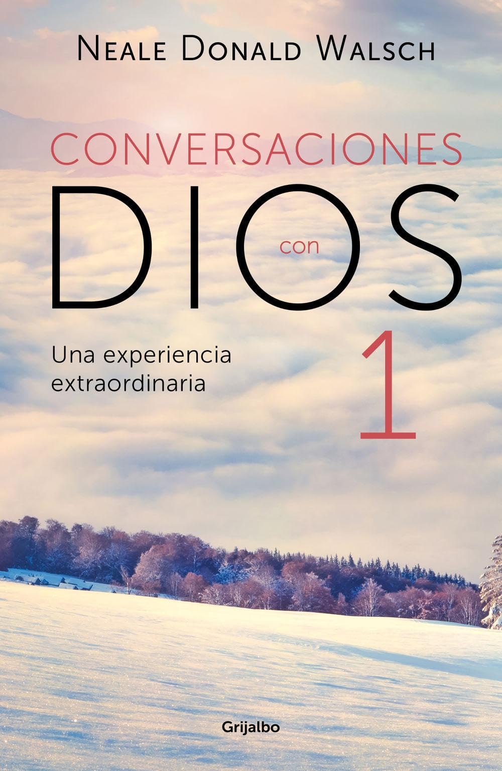 Un diálogo singular (Conversaciones con Dios 1): Una experiencia extraordinaria book