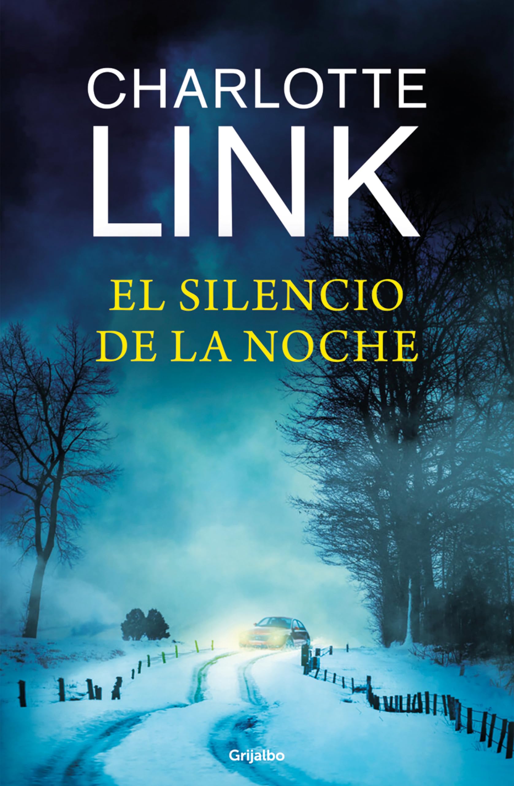 El silencio de la noche (Kate Linville & Caleb Hale 4) (Novela de intriga, Band 4) Action & Adventure