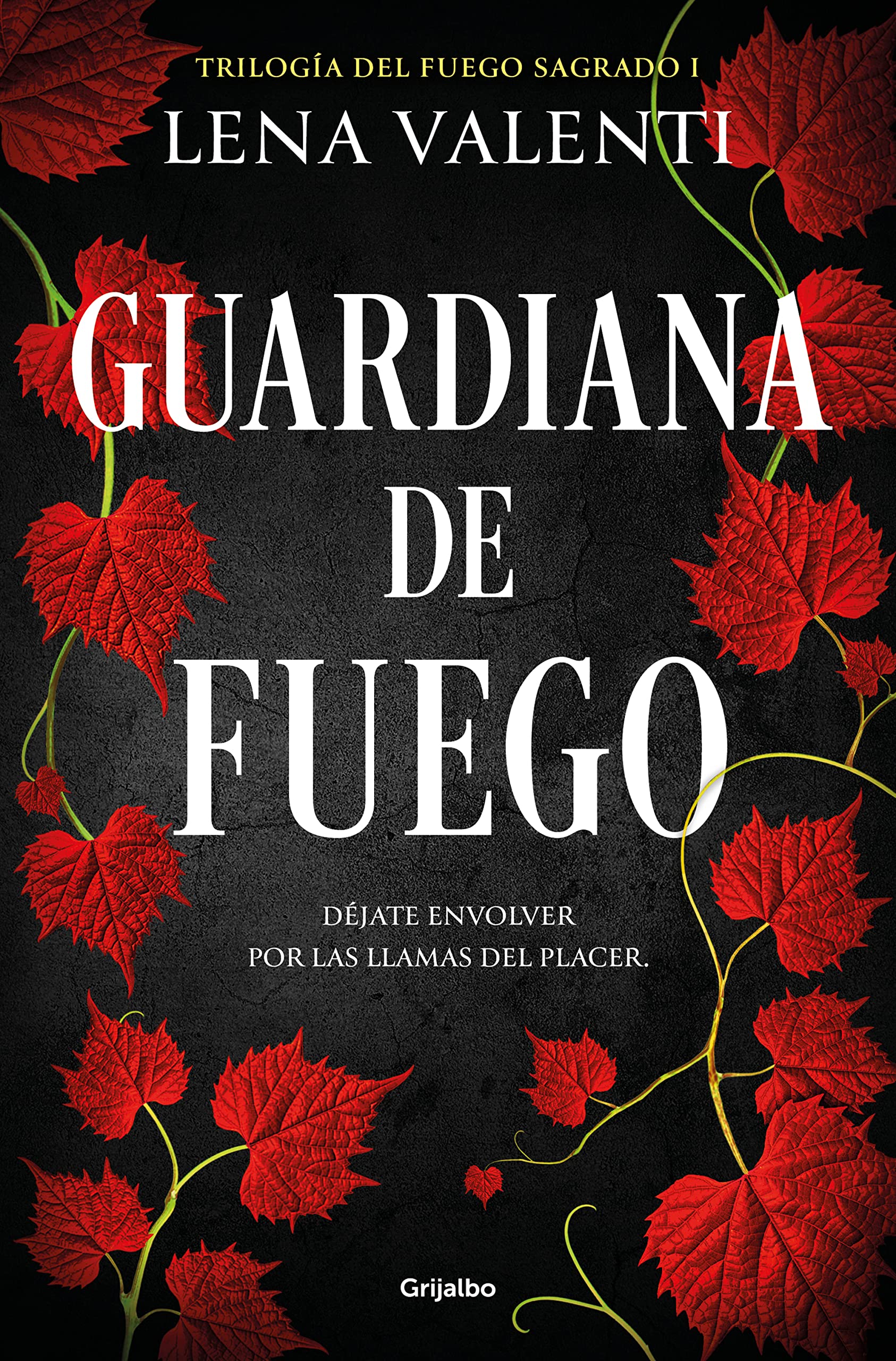 Guardiana de fuego / The Guardian of Fire book