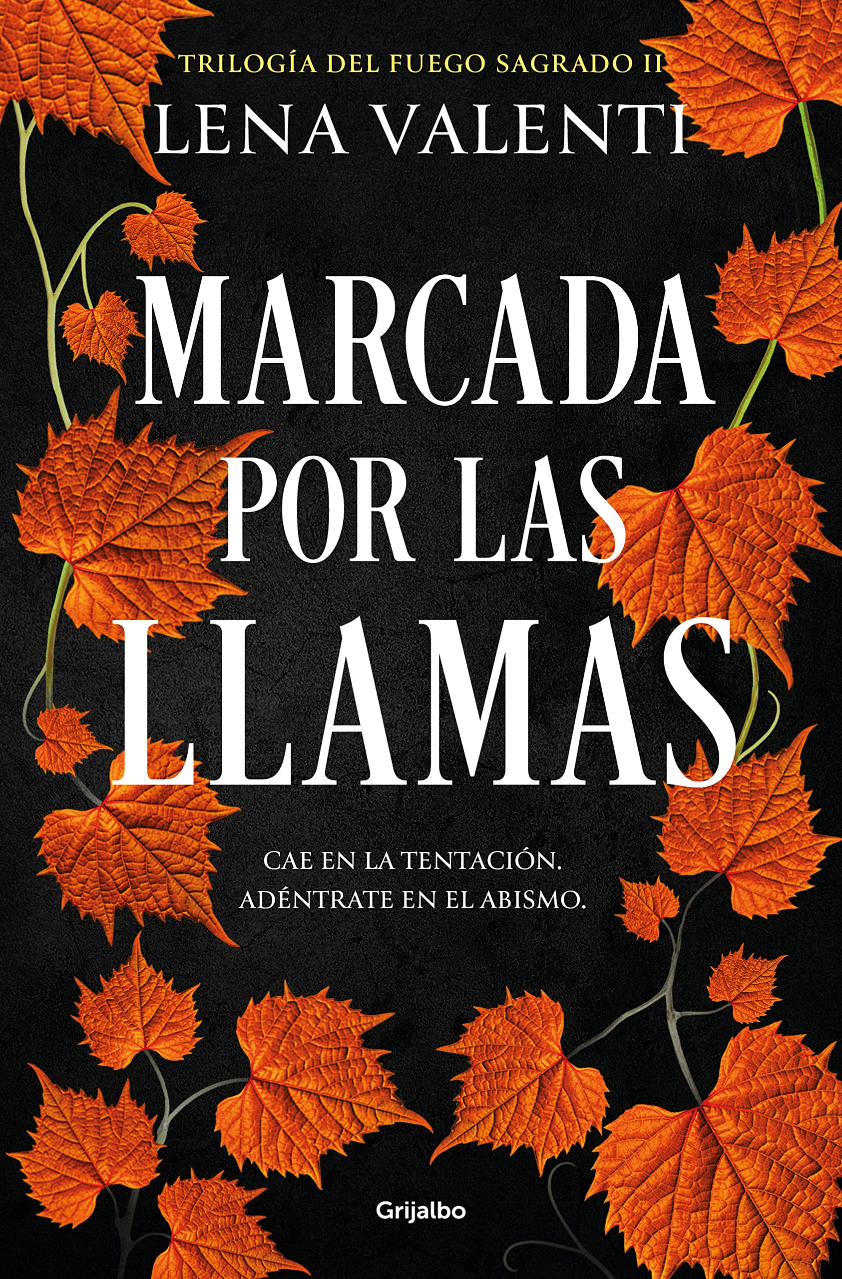 Marcada por las llamas (Trilogía del Fuego Sagrado 2) (Ficción, Band 2) Dark Fantasy