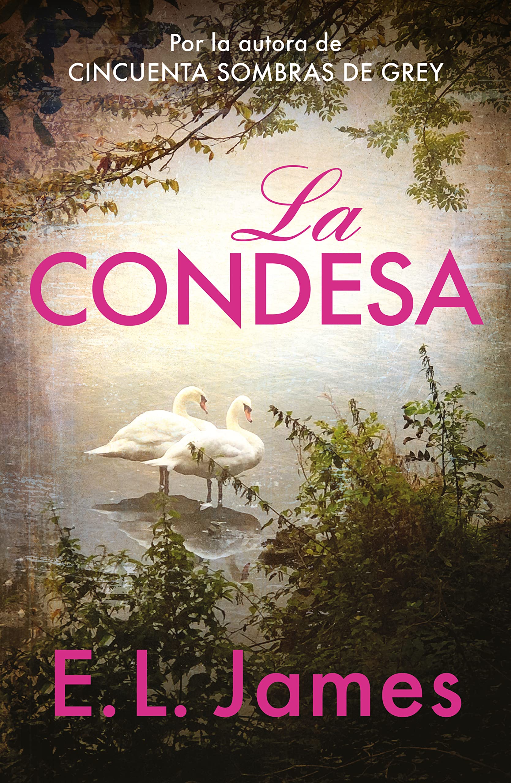 La condesa (Mister 2) (Ficción, Band 2) Contemporary literature Books
