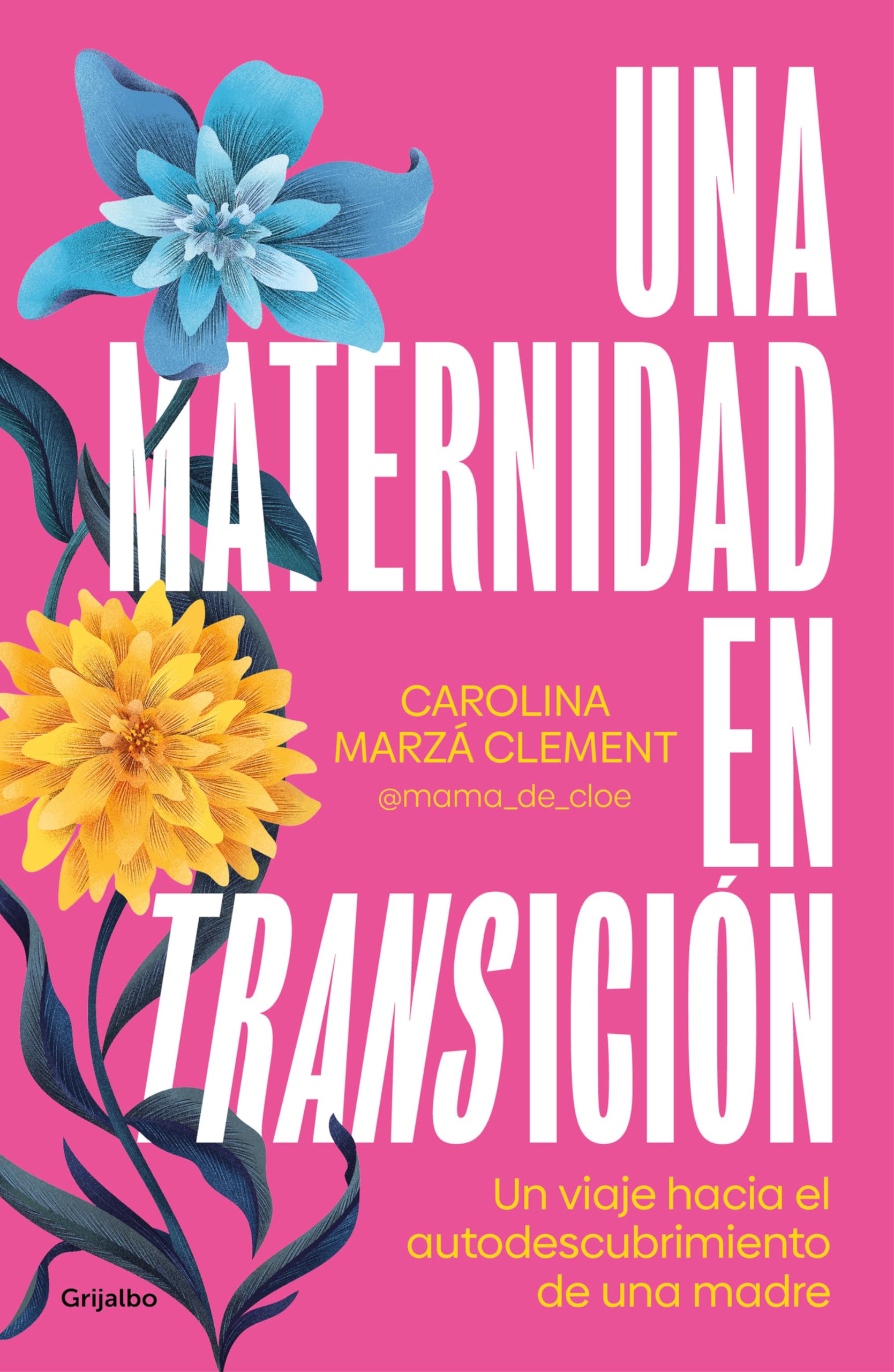 Una maternidad en transición / Maternity in Transition: El Viaje De Una Madre Hacia El Autoconocimiento book