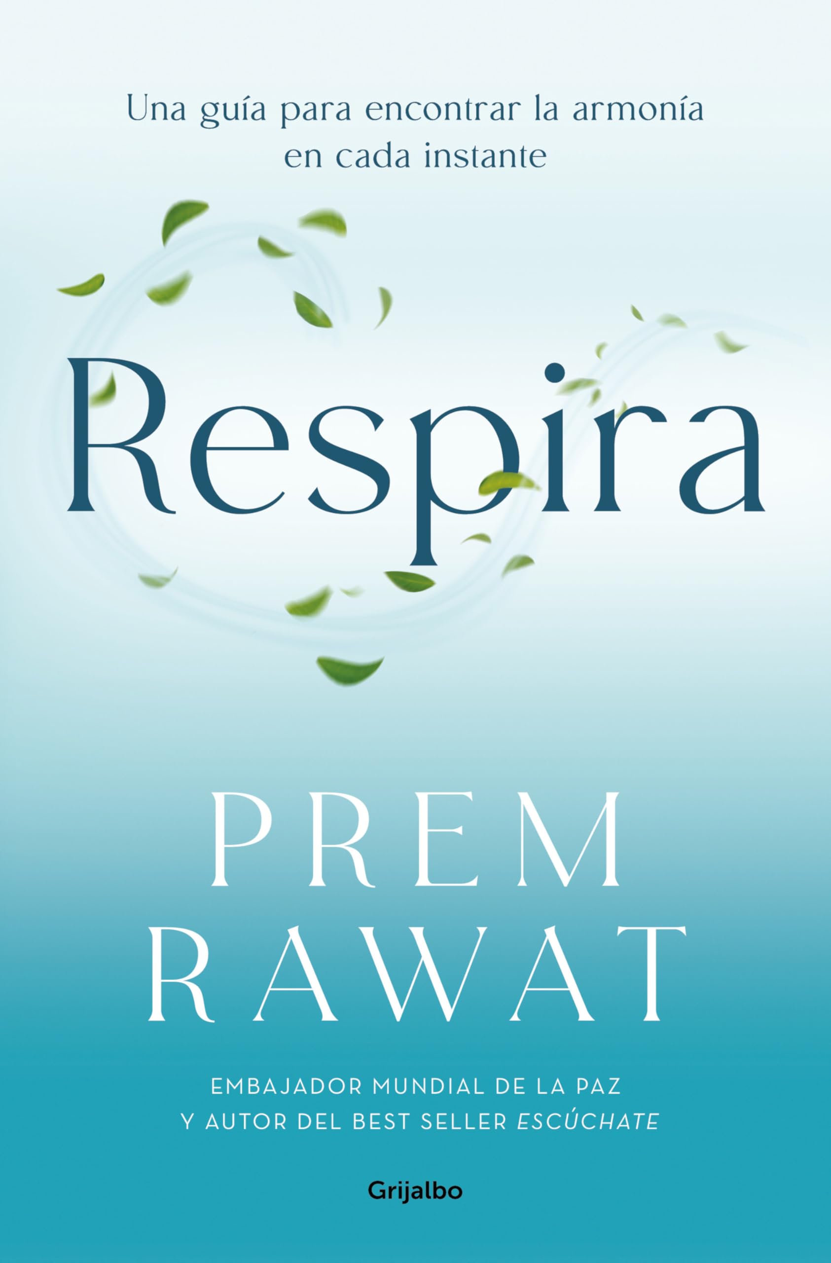 Respira. Una Guía Para Encontrar La Armonía En Cada Instante / Breath, Wake Up to Life Business, Finance & Career