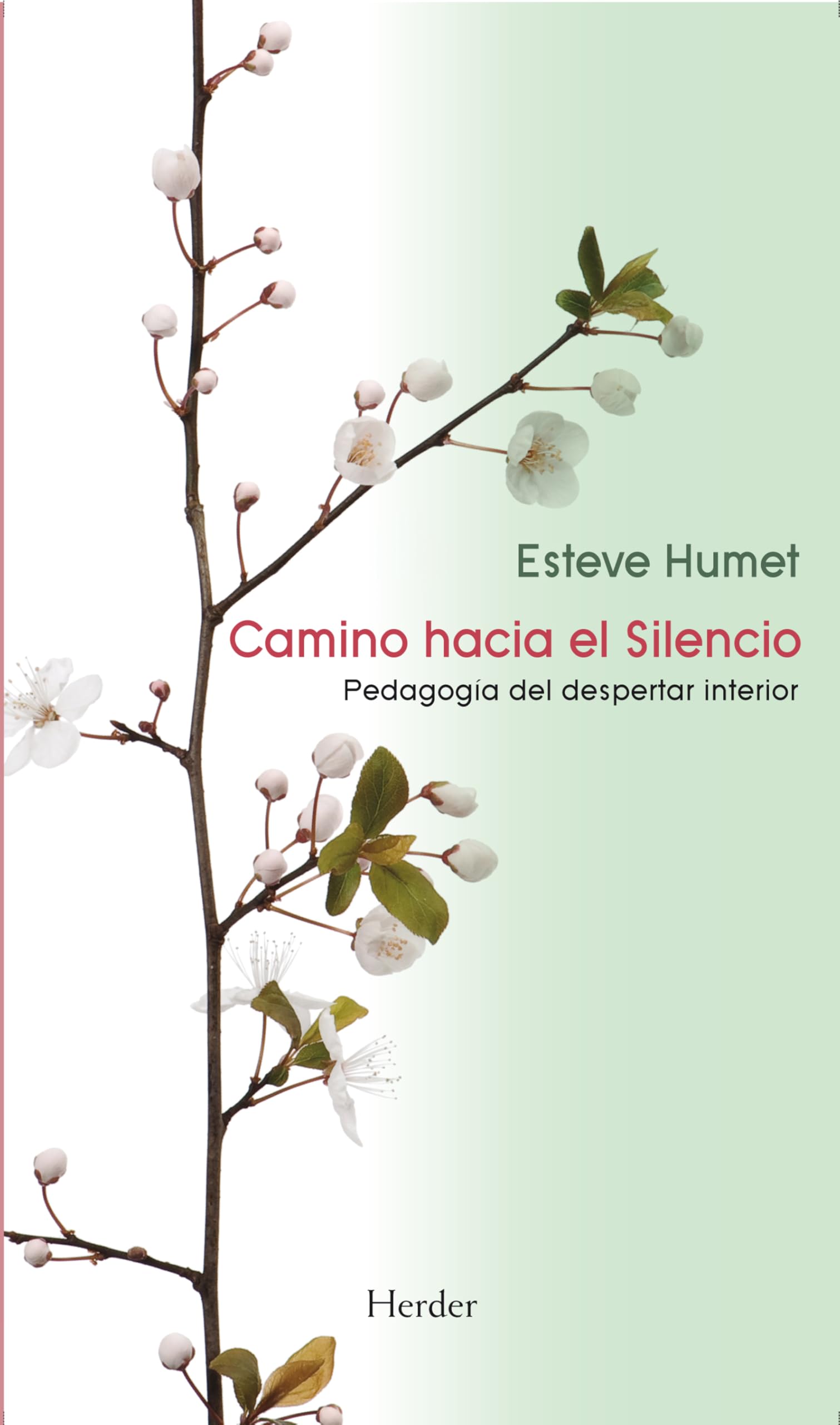 Camino hacia el Silencio: Pedagogía del despertar interior book