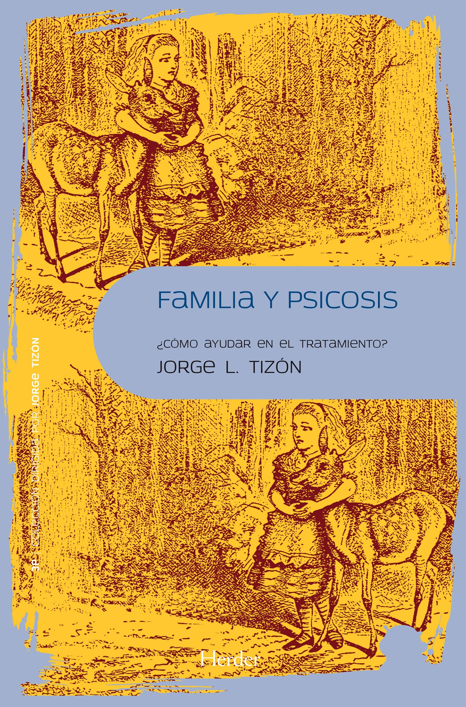 Familia y psicosis : cómo ayudar en el tratamiento (Psicopatología y Psicoterapia de las Psicosis) Social Sciences