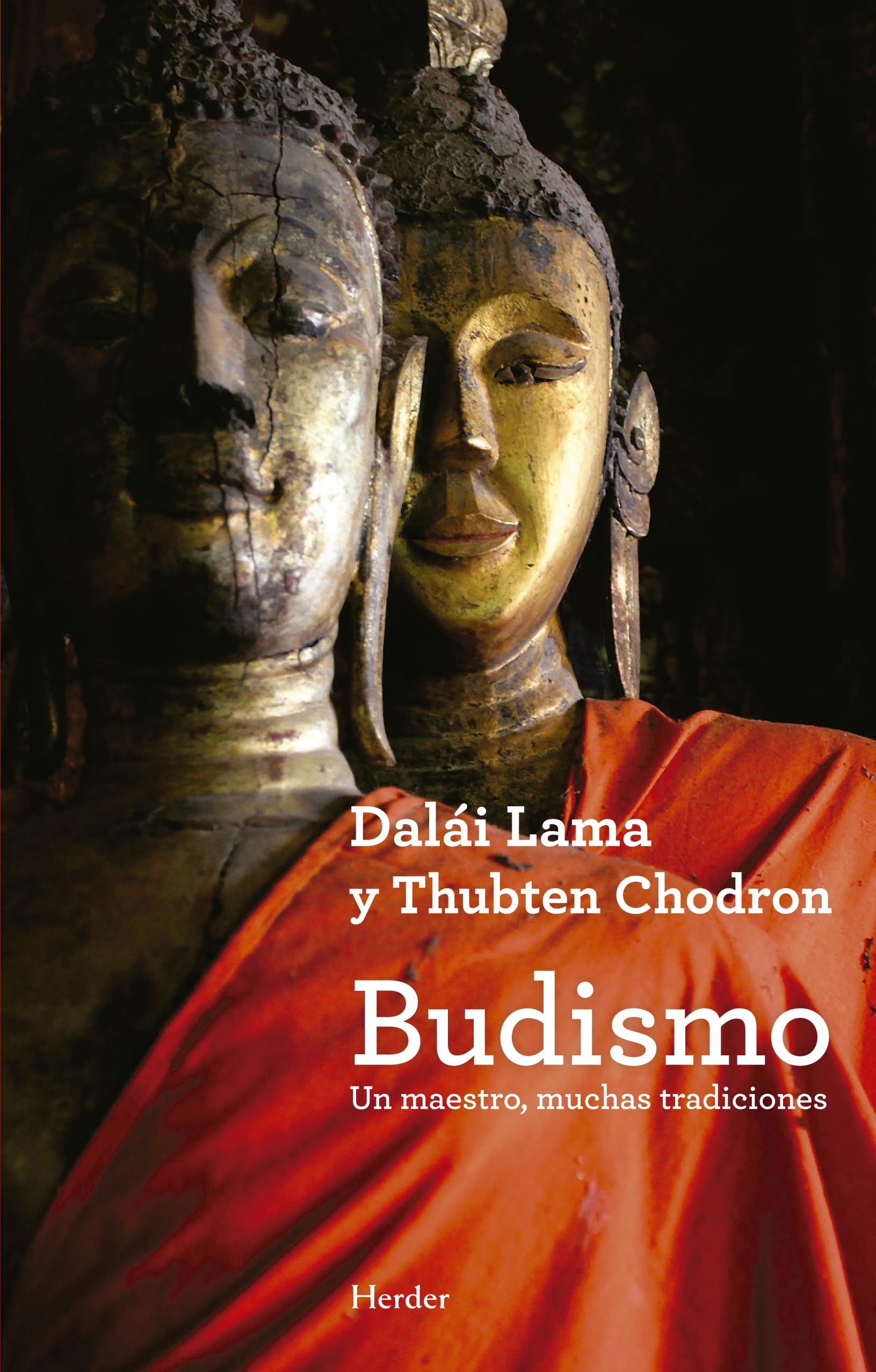 Budismo : un maestro, muchas tradiciones (fuera de colección) Social Sciences