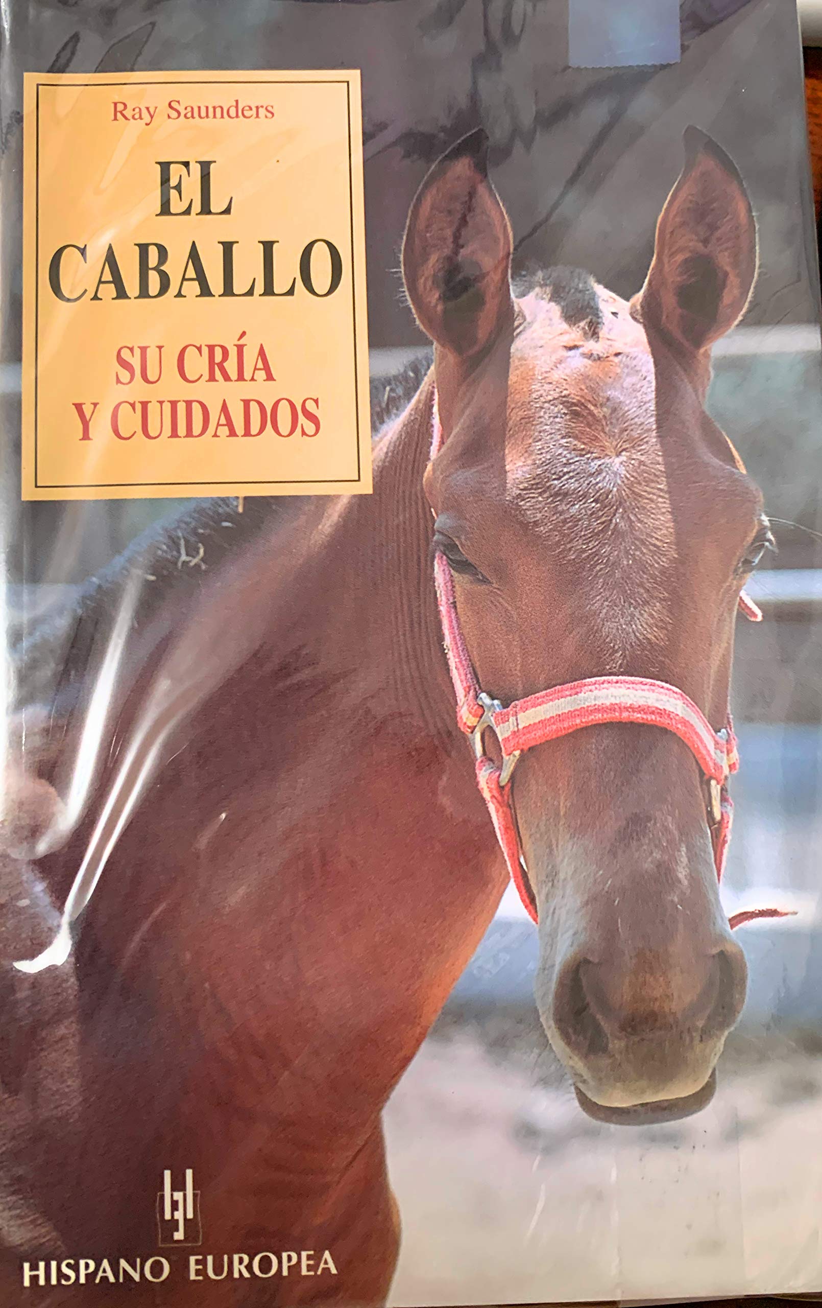 El Caballo Leisure & Fun