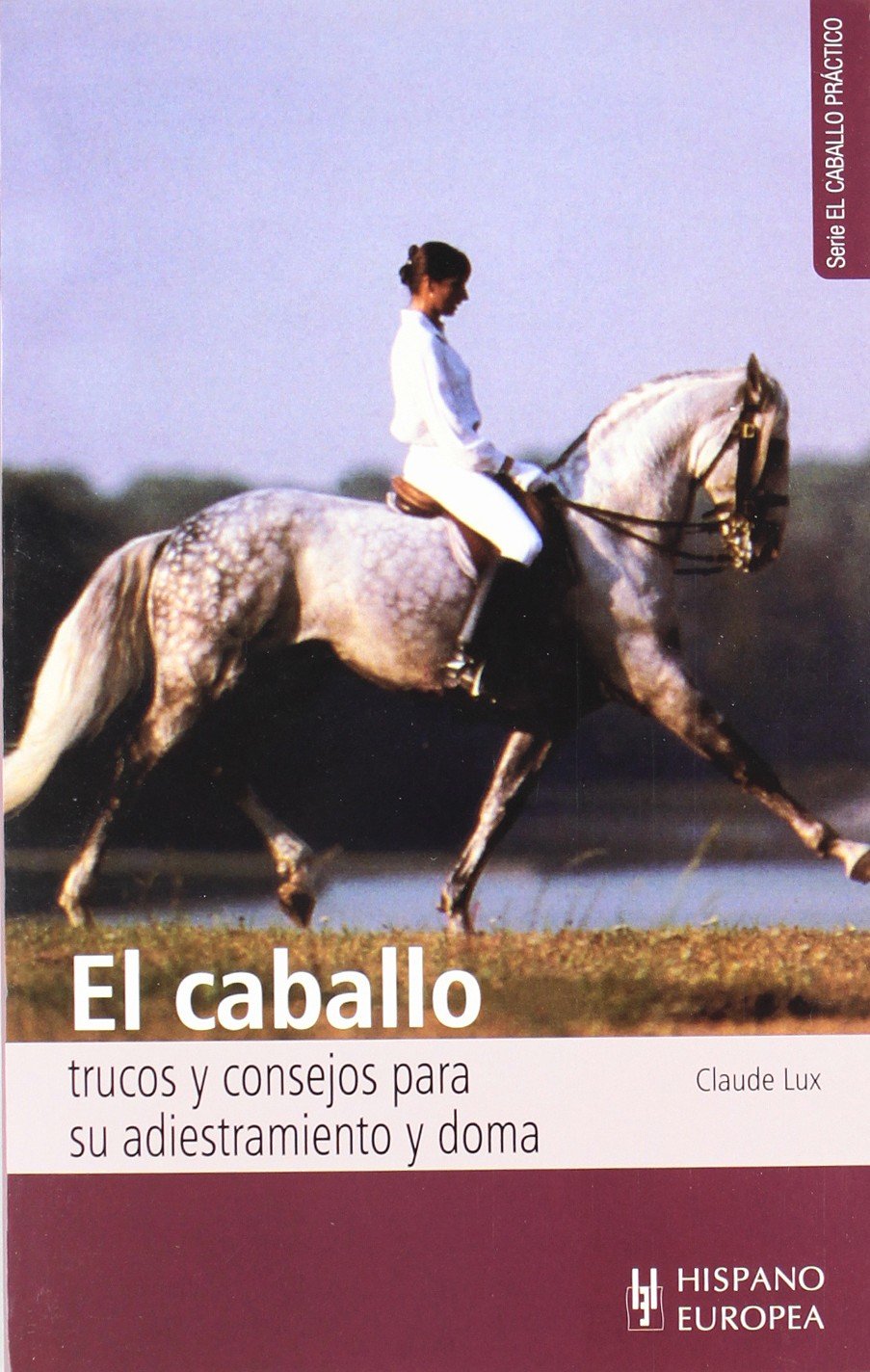 El caballo : trucos y consejos para su adiestramiento y doma (El caballo práctico) Pets