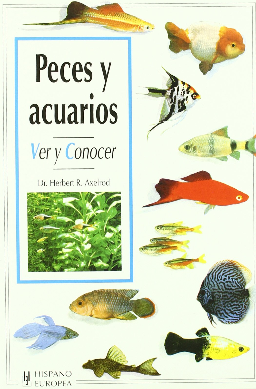 Peces y acuarios/A Basic Book of Aquariums: Ver Y Conocer book