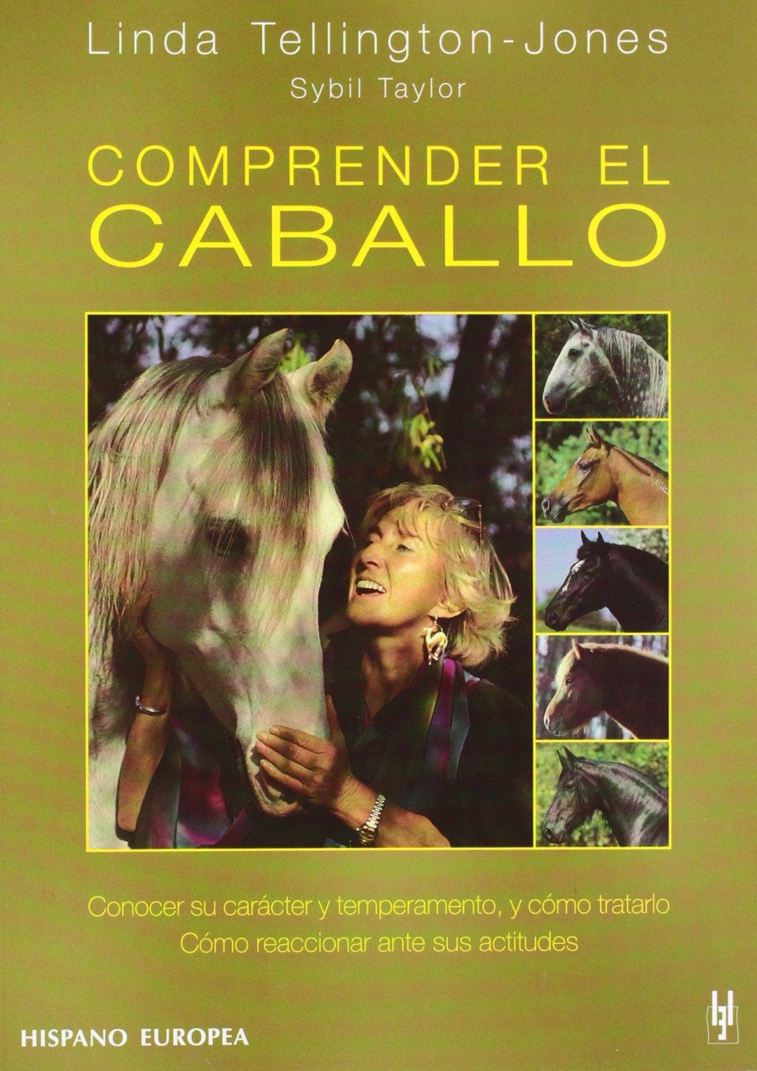 Comprender el caballo Pets