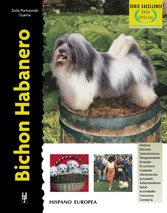 Bichon habanero (Excellence-Raza especial) Pets
