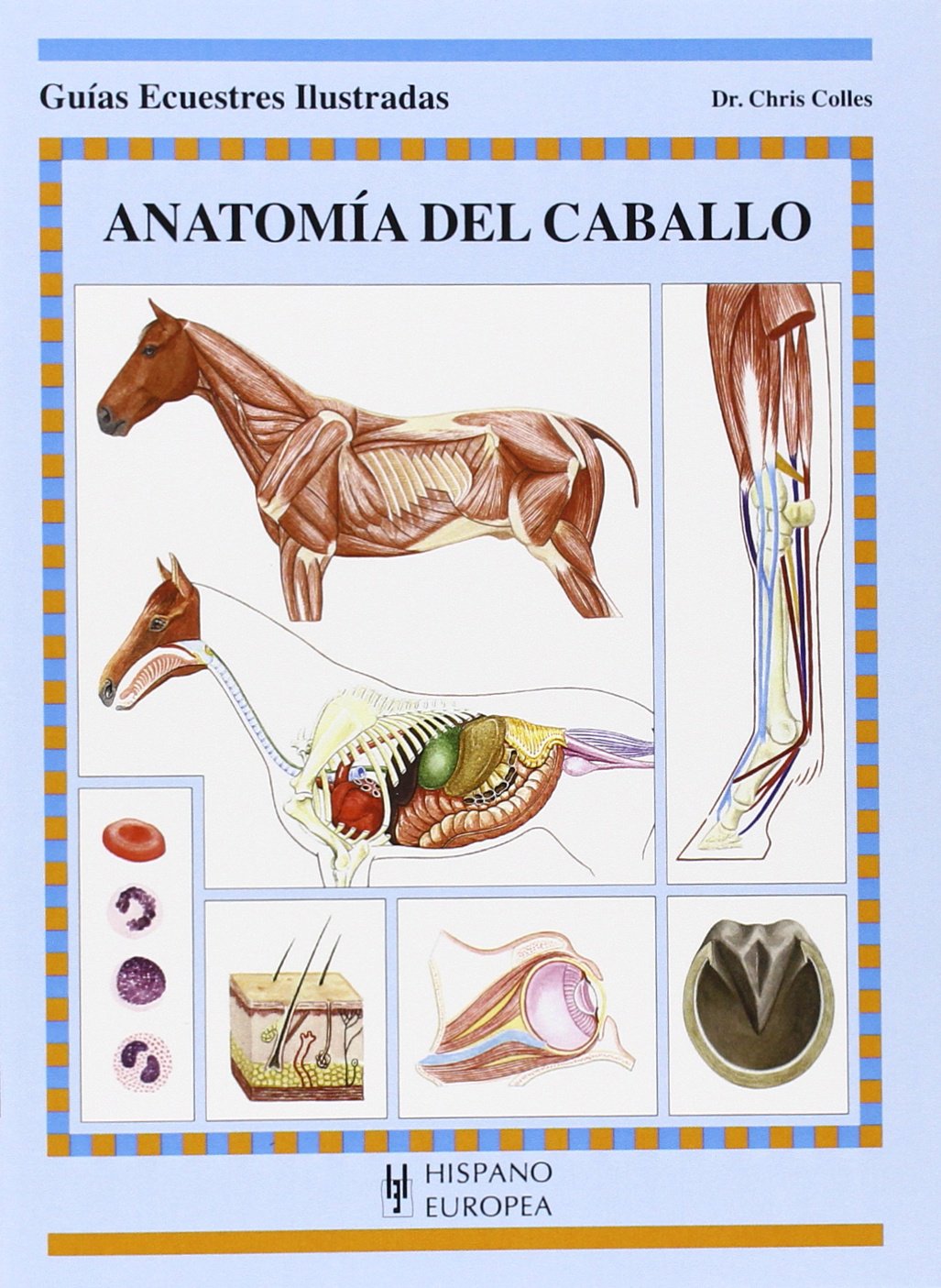Anatomía del caballo (Guías ecuestres ilustradas) Pets