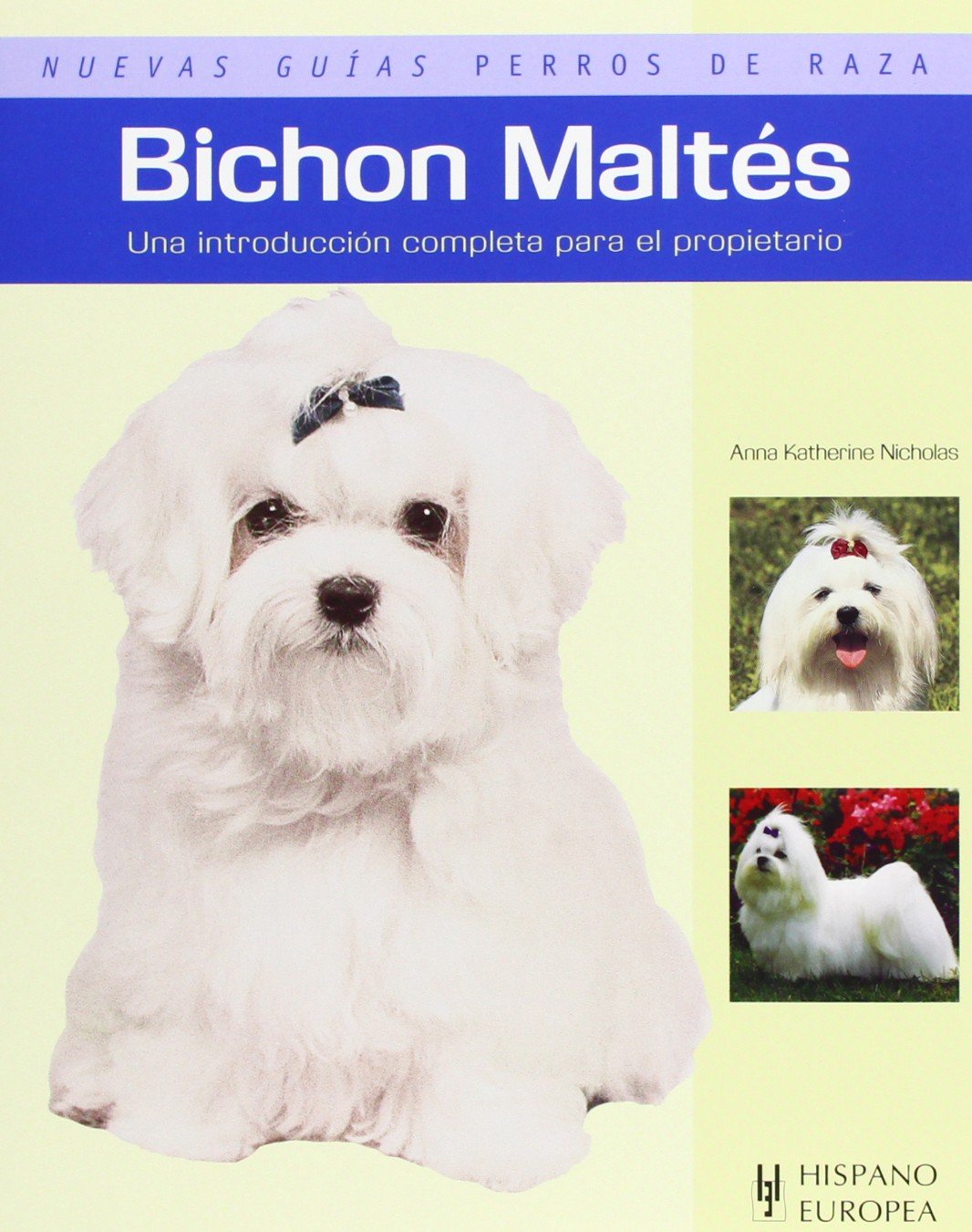 Bichon Maltes / Maltese: Una introduccion completa para el propietario / Owner's complete introduction Guide book