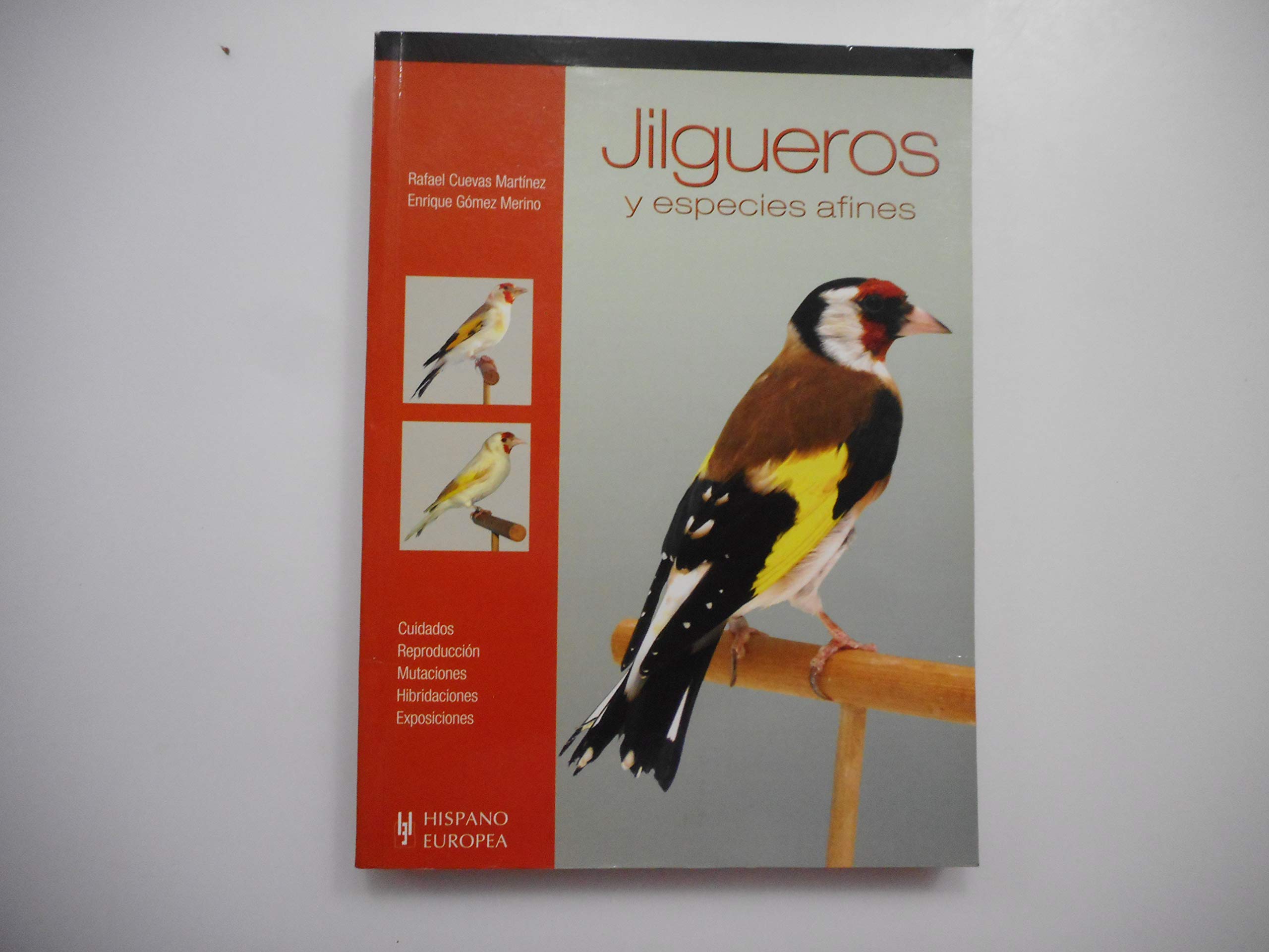Jilgueros y especies afines (Pajaros / Birds) Pets