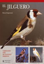 El jilguero / The Goldfinch book