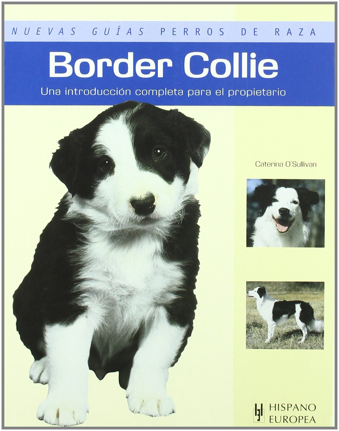 Border Collie (Nuevas guías perros de raza) Pets