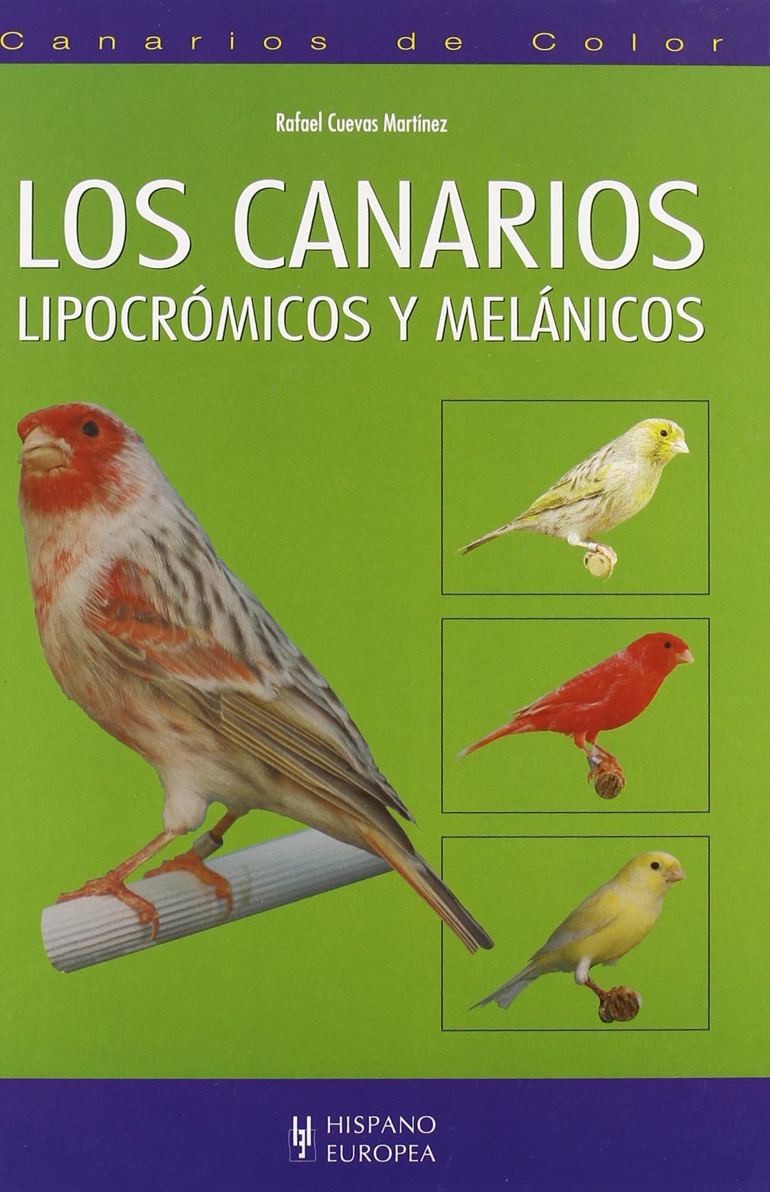 Los canarios / The Canaries: Canarios De Color / Color Canaries book