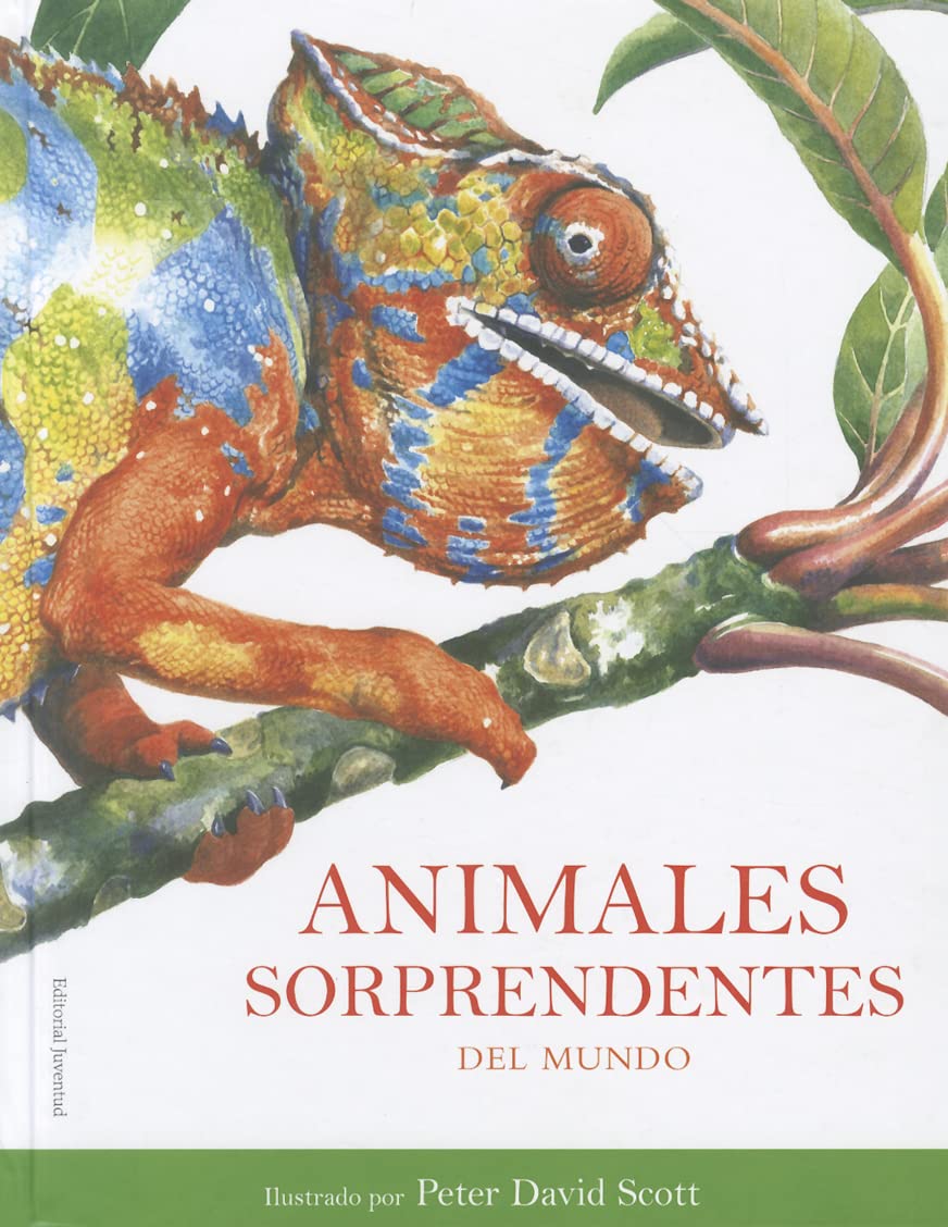 Animales sorprendentes del mundo / Amazing Animals from Around the World book