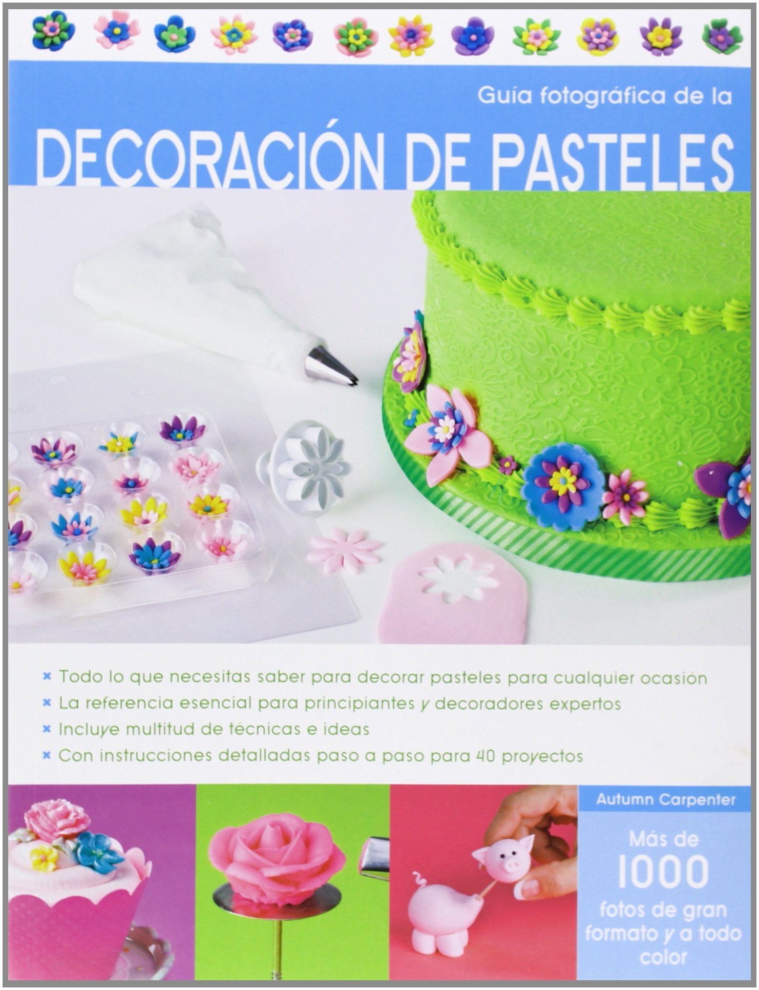 Guía fotográfica de decoración de pasteles Leisure, Home & Garden