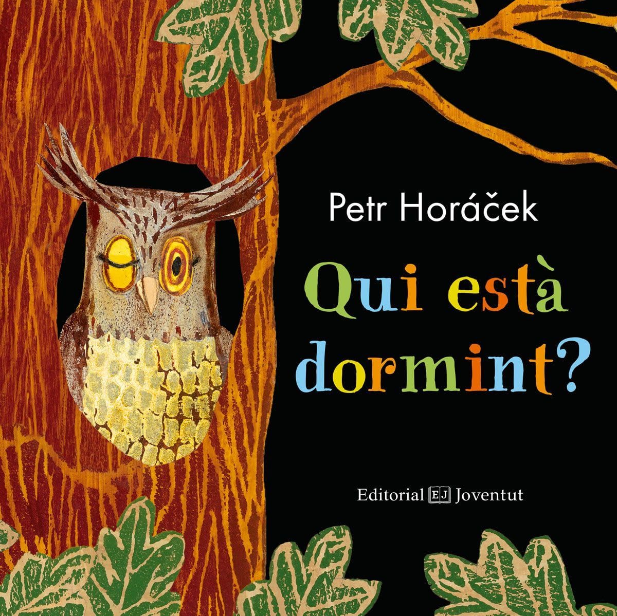 Qui està dormint? Social Sciences