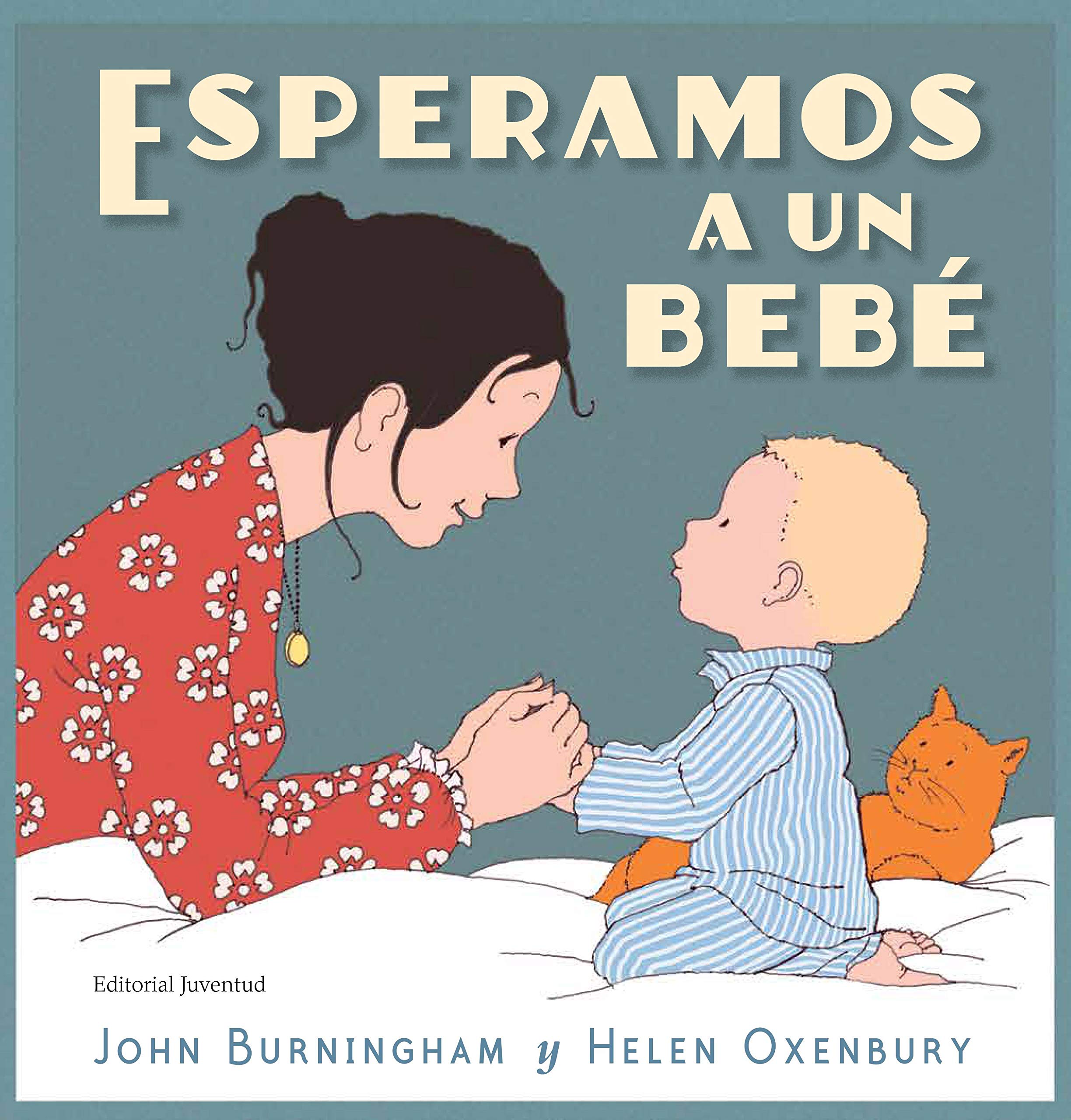 Esperamos a un bebé Social Sciences Books