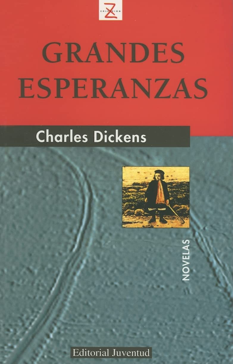 Grandes esperanzas Contemporary literature Books