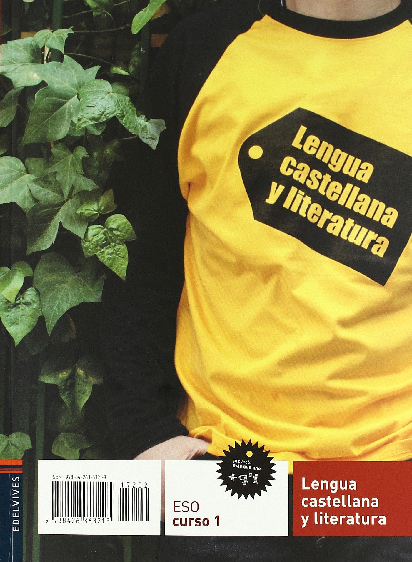 Lengua castellana y Literatura 1 book