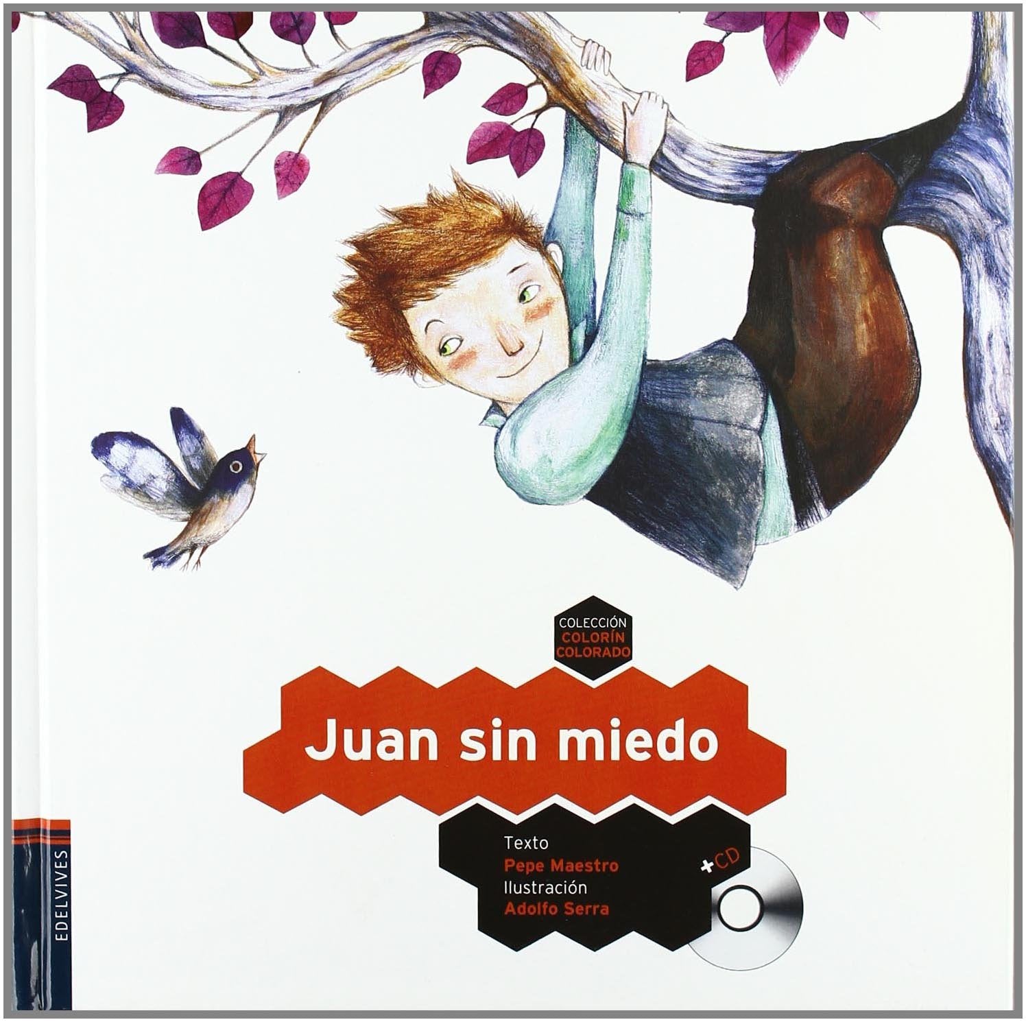 Juan sin miedo (Colorín Colorado, Band 10) Social Sciences