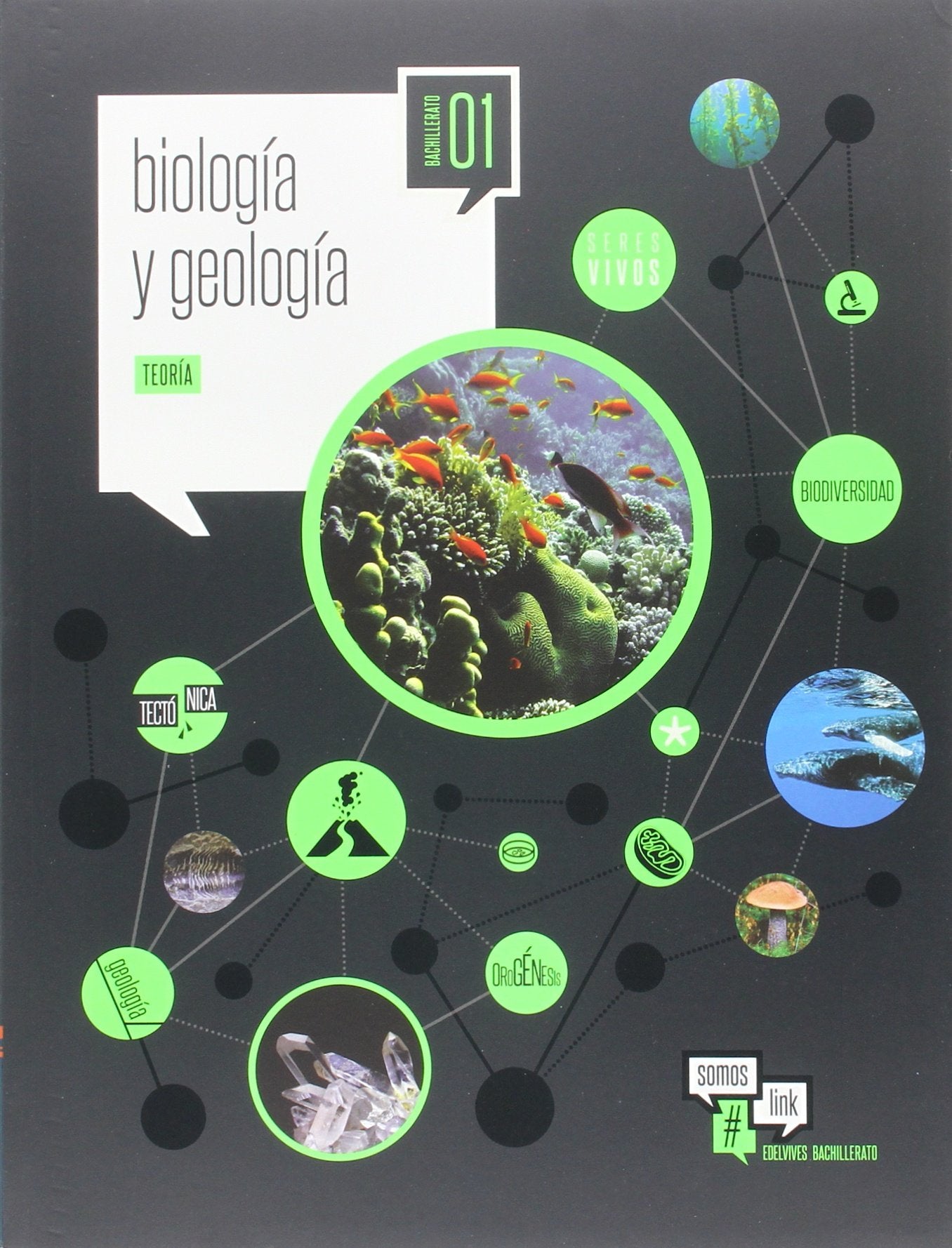 BIOLOGIA Y GEOLOGIA 1º BACHILLERATO book