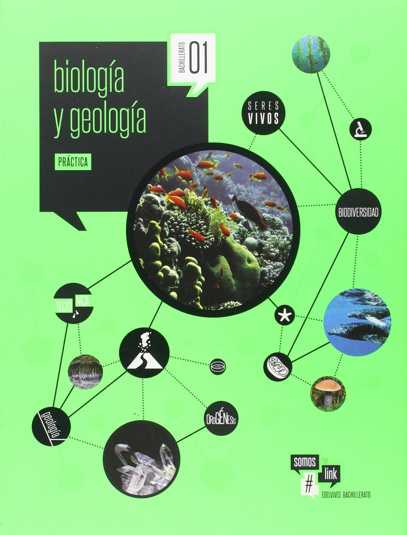 Bach 1 - Biologia Y Geologia - Practica - #somoslink Books