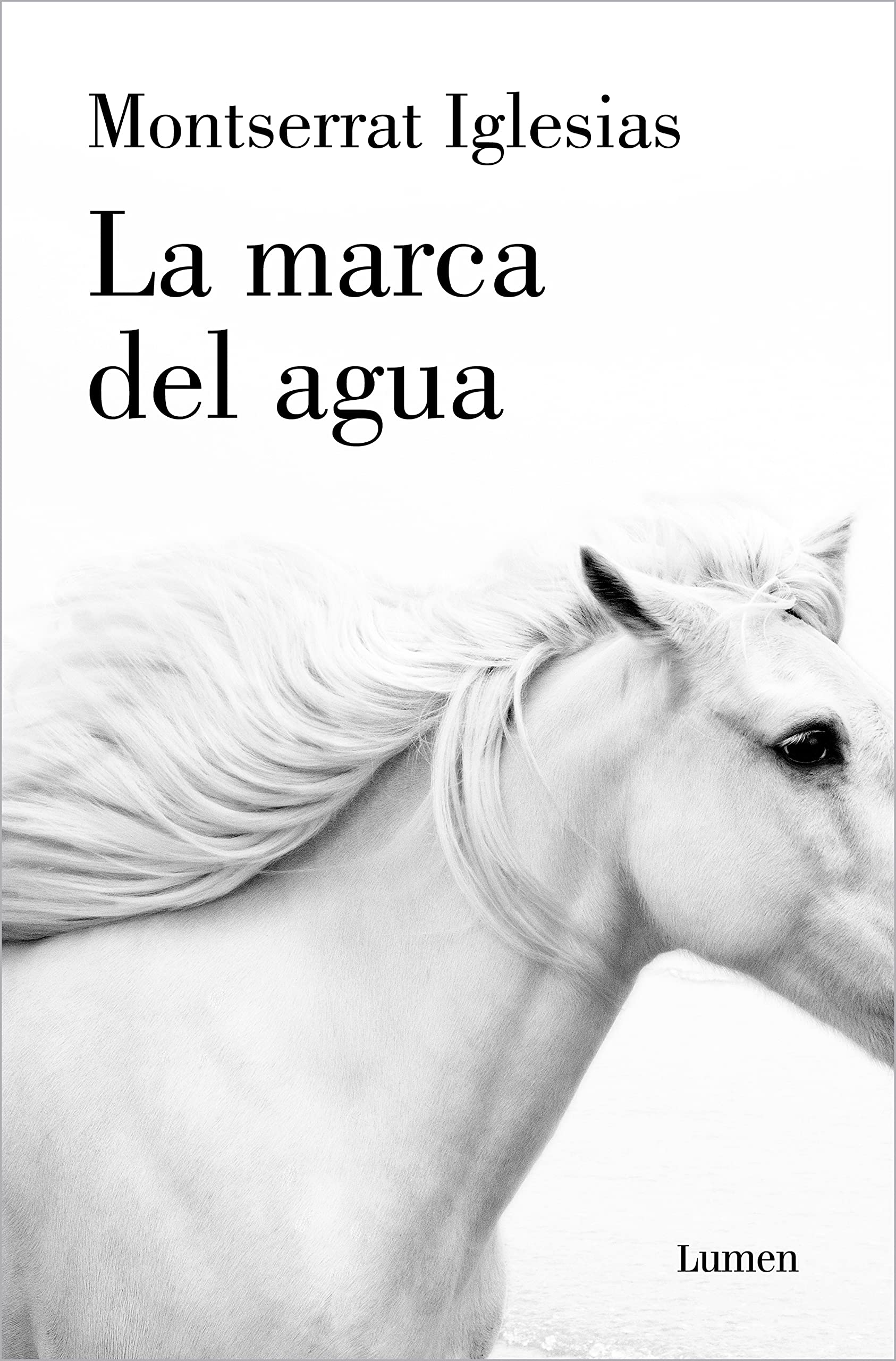 La marca del agua (Narrativa) Contemporary literature