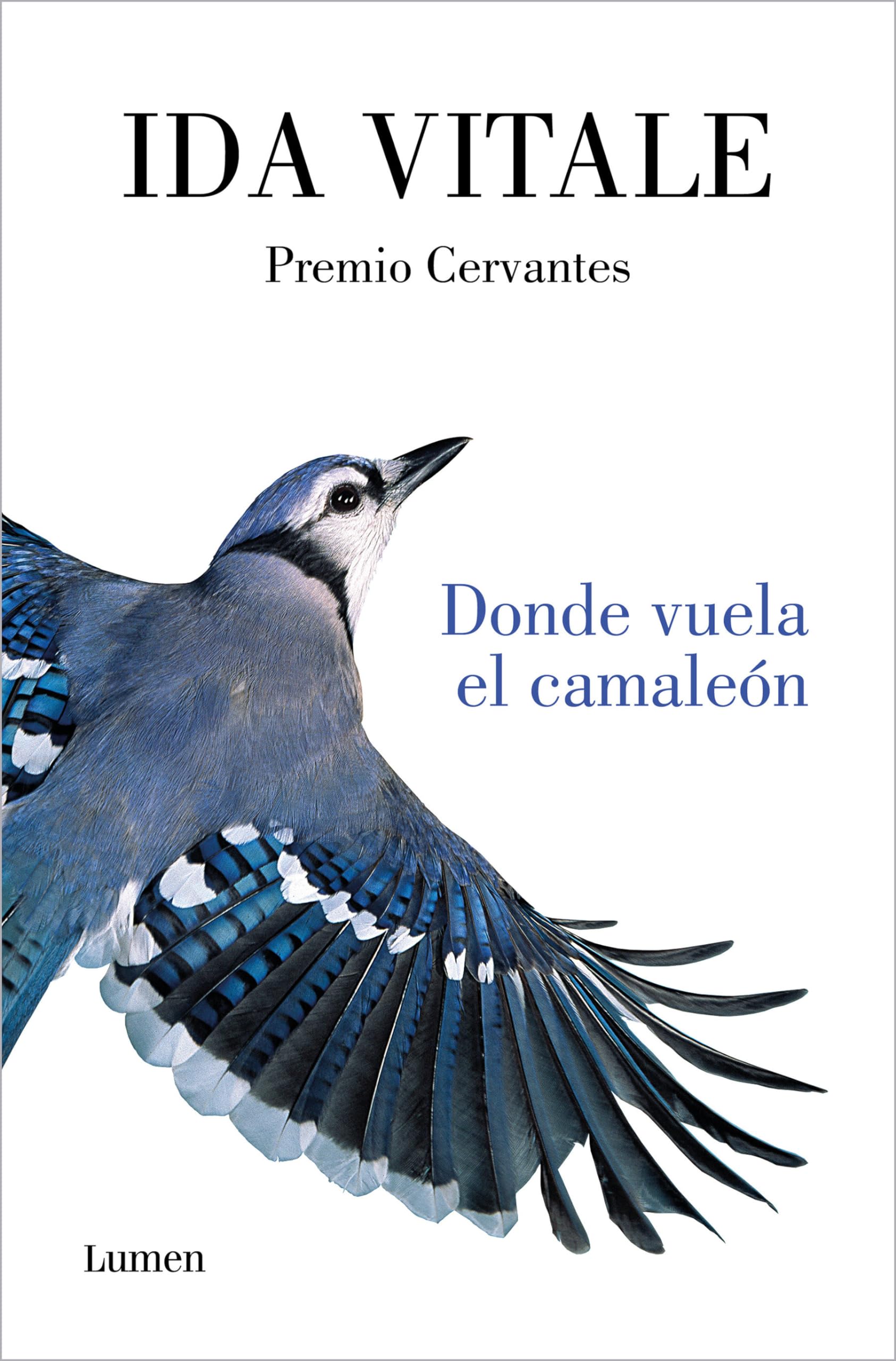 Donde vuela el camaleón / Where the Chameleon Flies book