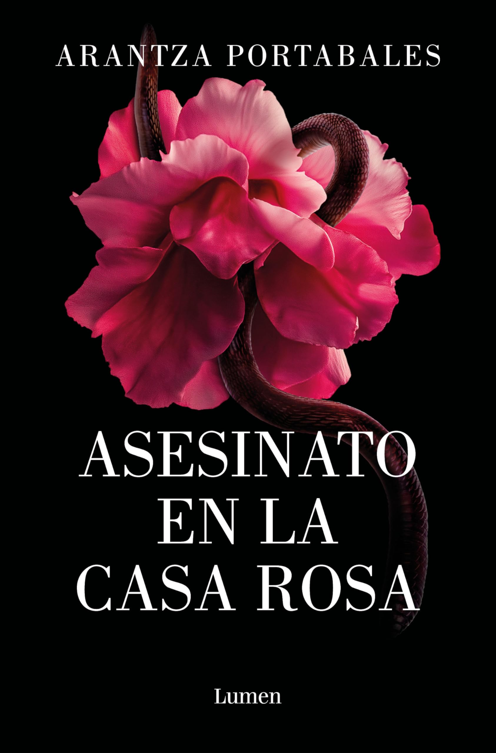 Asesinato En La Casa Rosa / Murder in the Pink House Contemporary literature