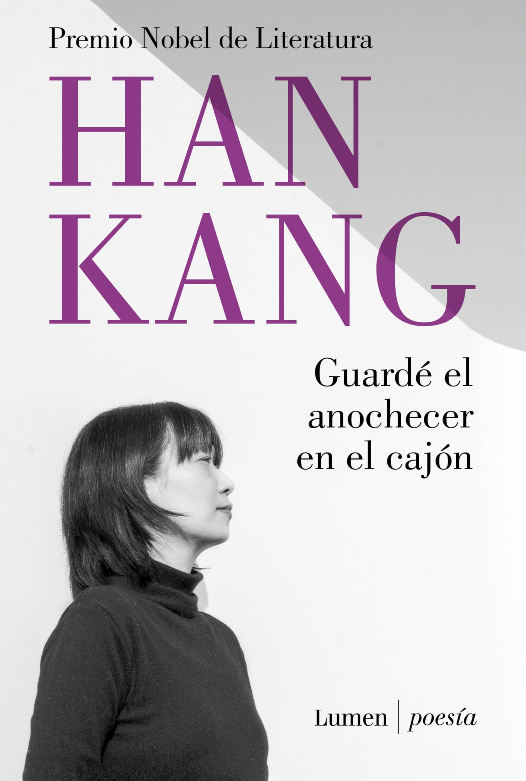 Guardé el anochecer en el cajón / I Put Away the Evening Inside a Drawer book