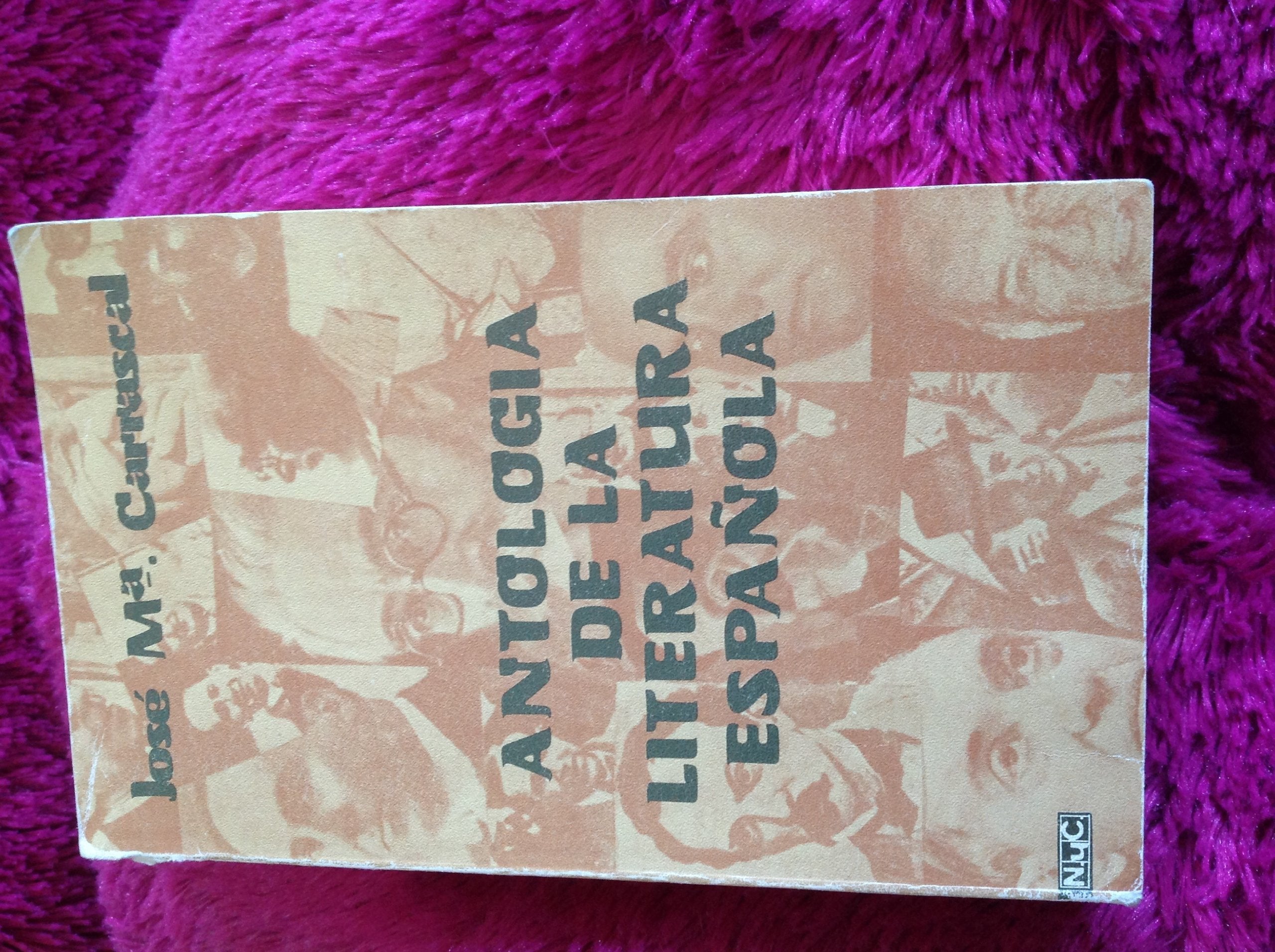 Antología de la literatura española Books
