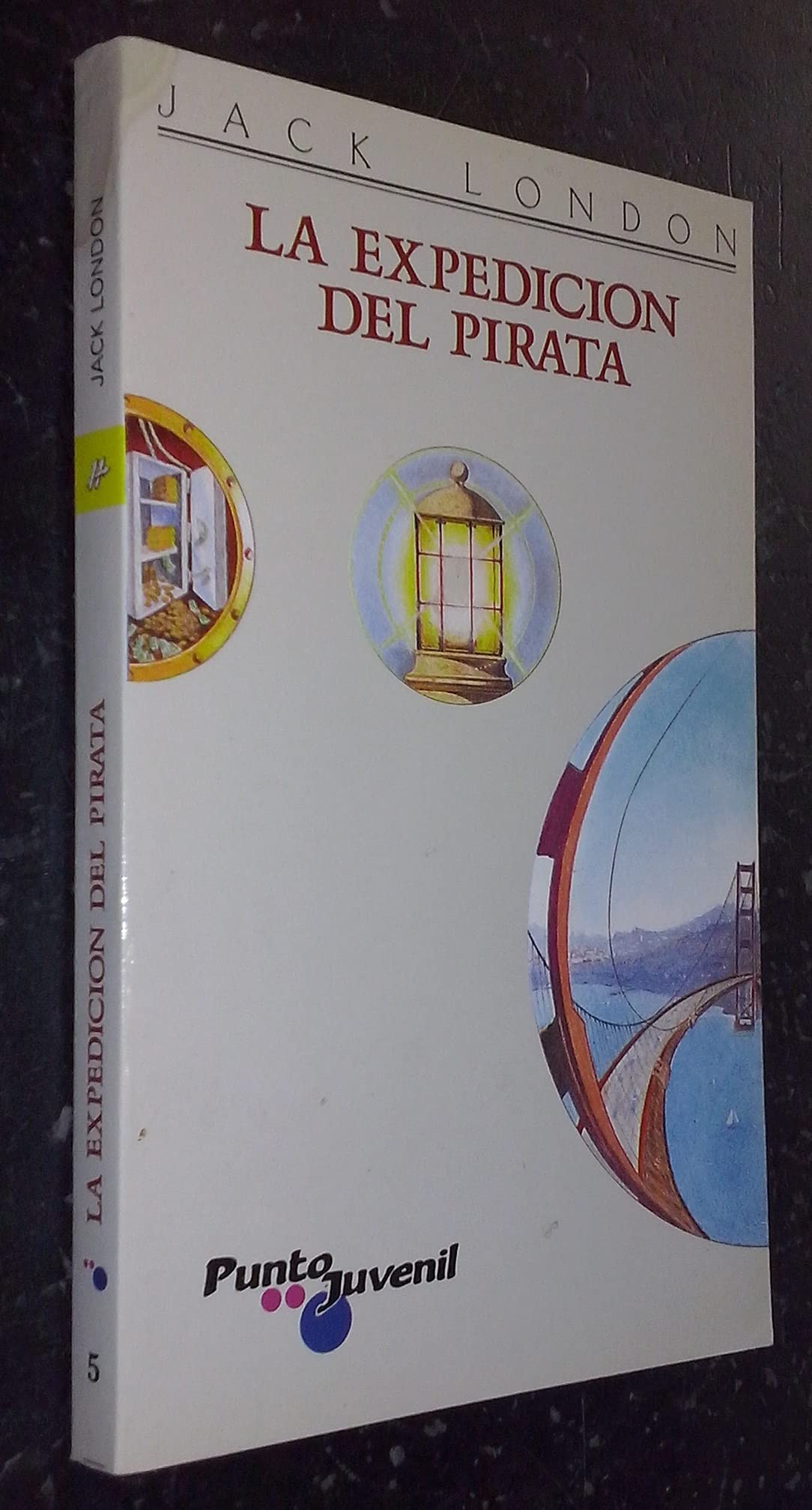 La Expedicion Del Pirata / Pirate's Expedition (Coleccion Punto Juvenil, 5) Fiction