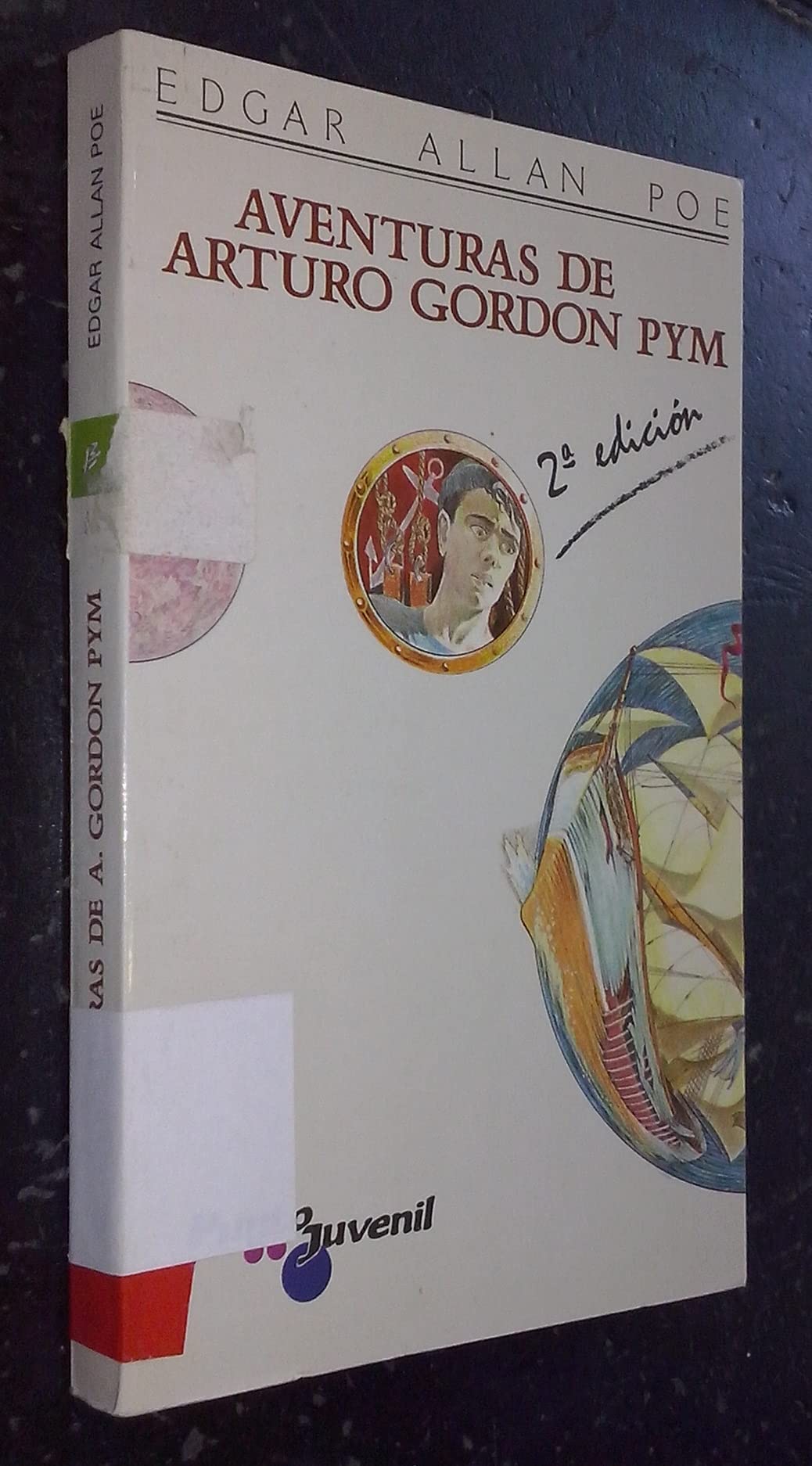 Aventuras de Arturo gordon pym book