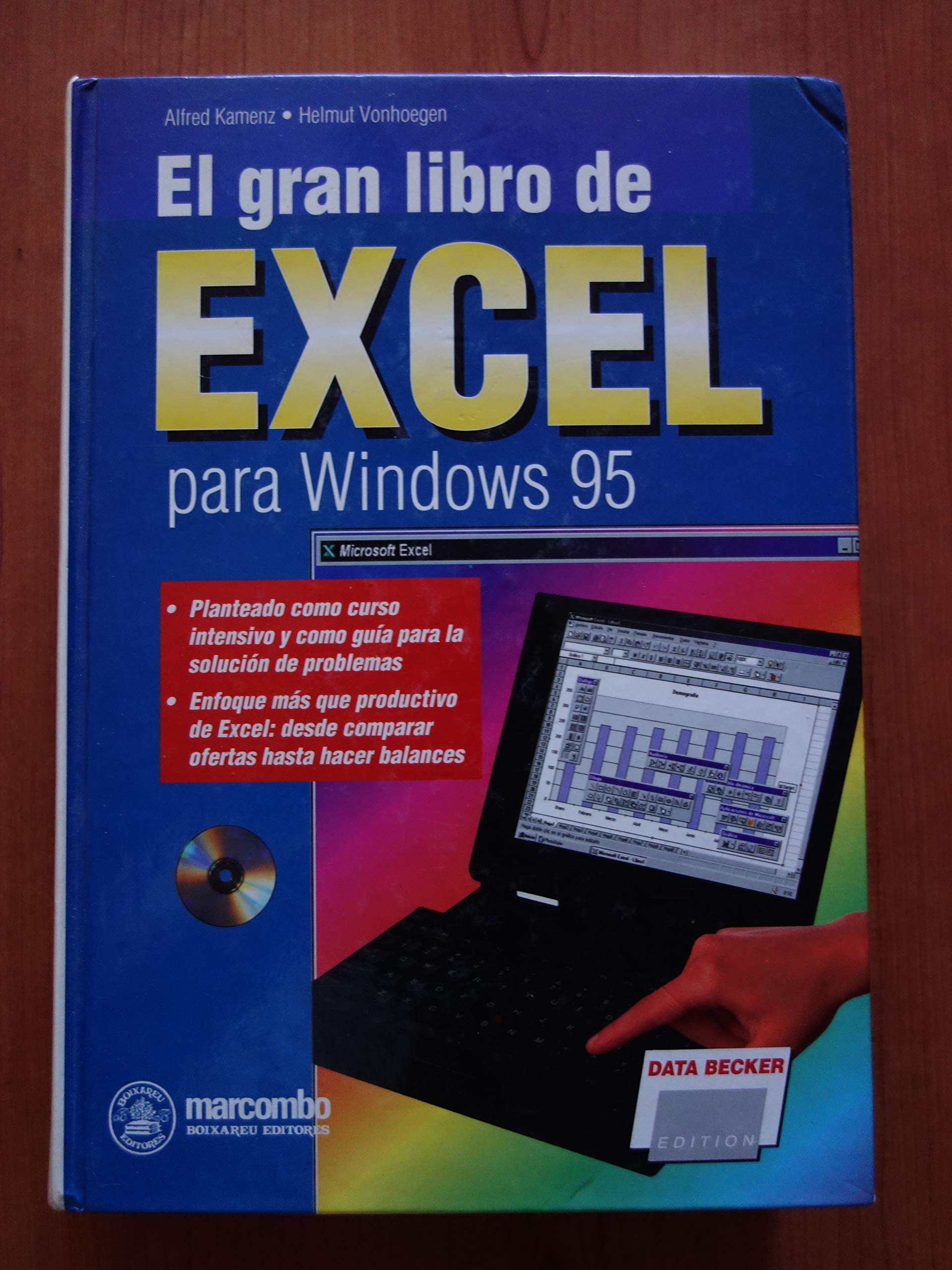 Excel, el gran libro para windows 95 Books