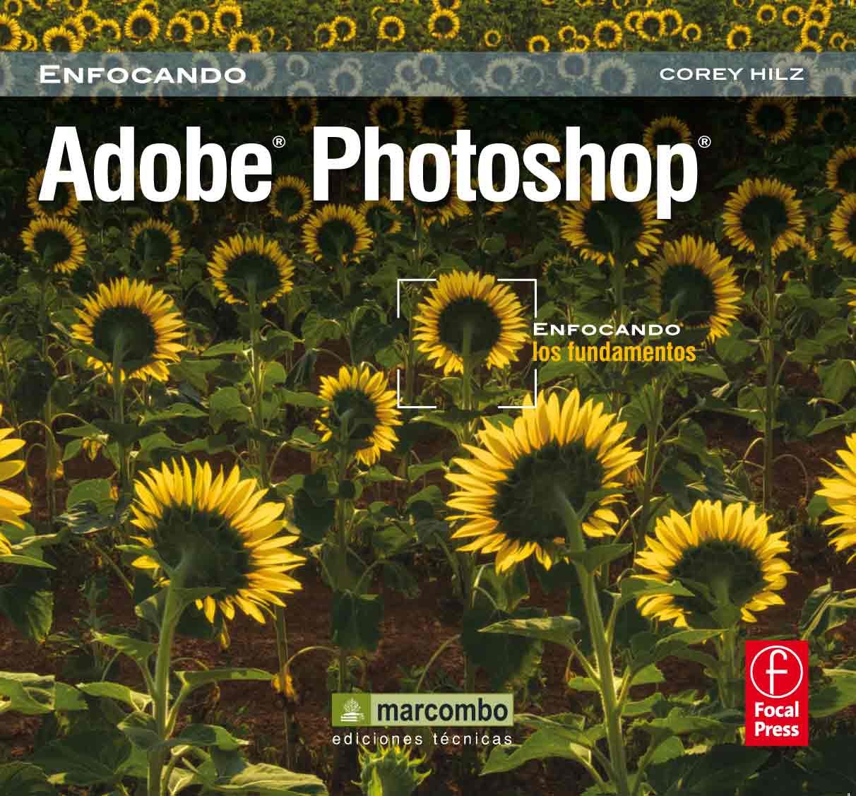 Adobe Photoshop : enfocando los fundamentos Social Sciences