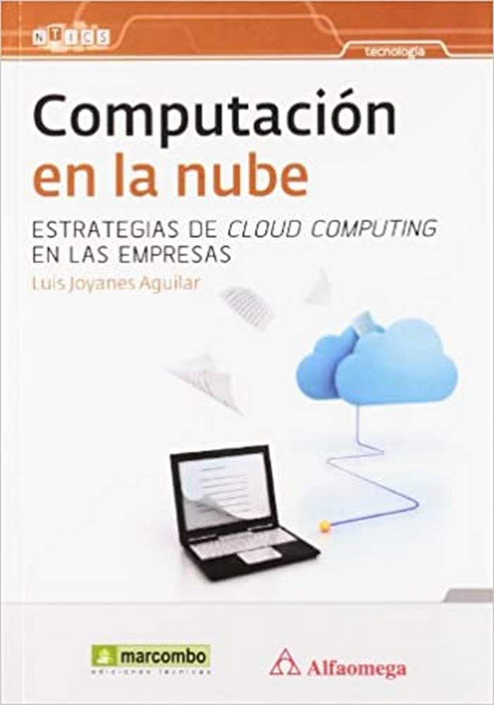 Computación en la nube : estrategias de Cloud Computing en las empresas Books
