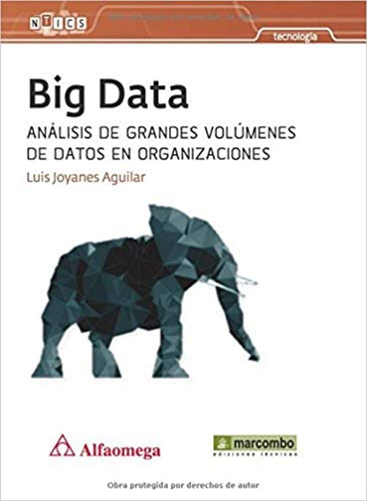 BIG DATA: ANALISIS DE GRANDES VOLUMENES DE DATOS EN ORGANIZACIONES Computer Science