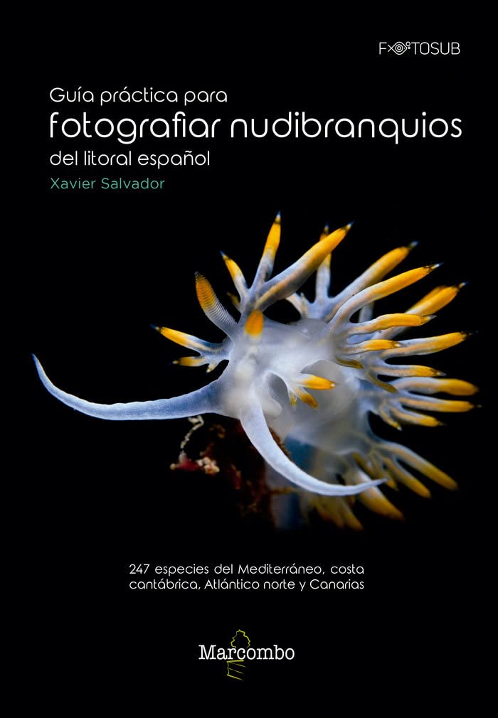 Guía práctica para fotografiar nudibranquios del litoral español: 247 especies del Mediterráneo, costa cantábrica, Atlántico norte y Canarias (FOTOSUB, Band 1) Photography