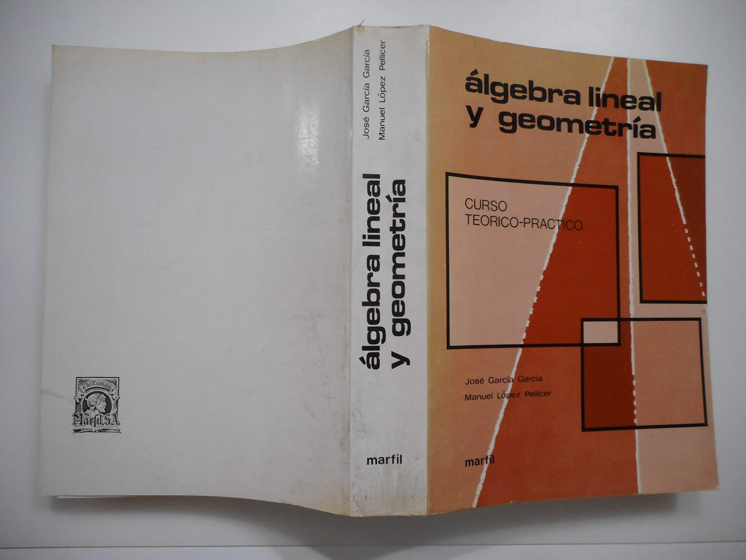 Algebra lineal y geometria. curso teorico practico book