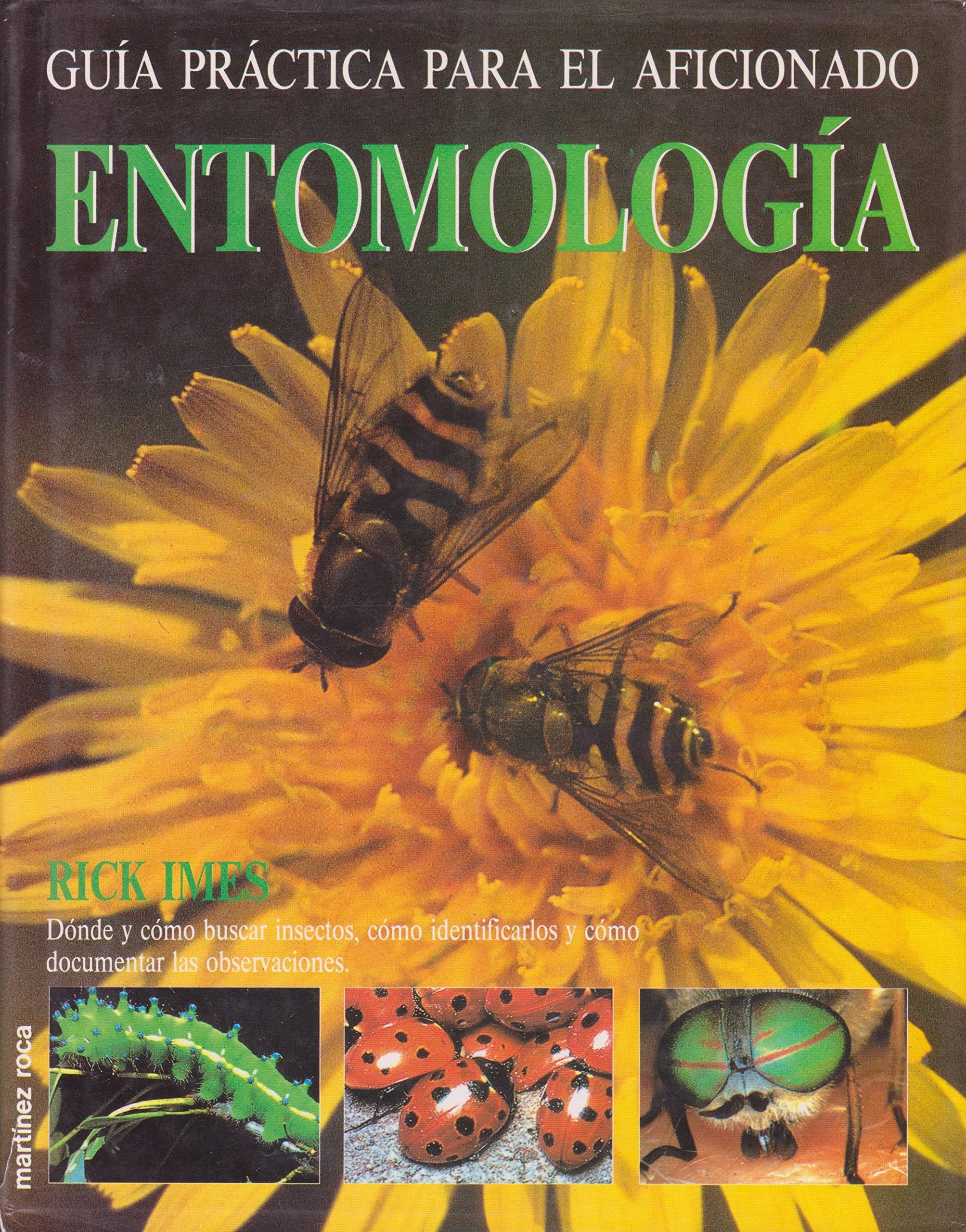 Guia Practica Para El Aficionado Entomologia Books