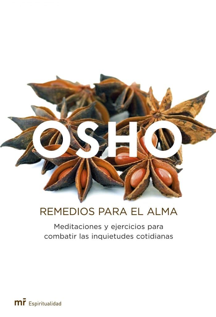 Remedios para el alma : meditaciones y ejercicios para combatir las inquietudes cotidianas (MR Espiritualidad, Band 1) Books