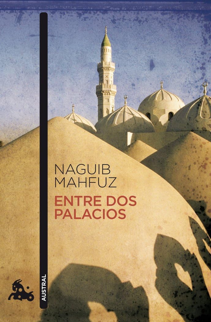 ENTRE DOS PALACIOS Nê640.AUSTRAL 2010. (Contemporánea, Band 1) Contemporary literature